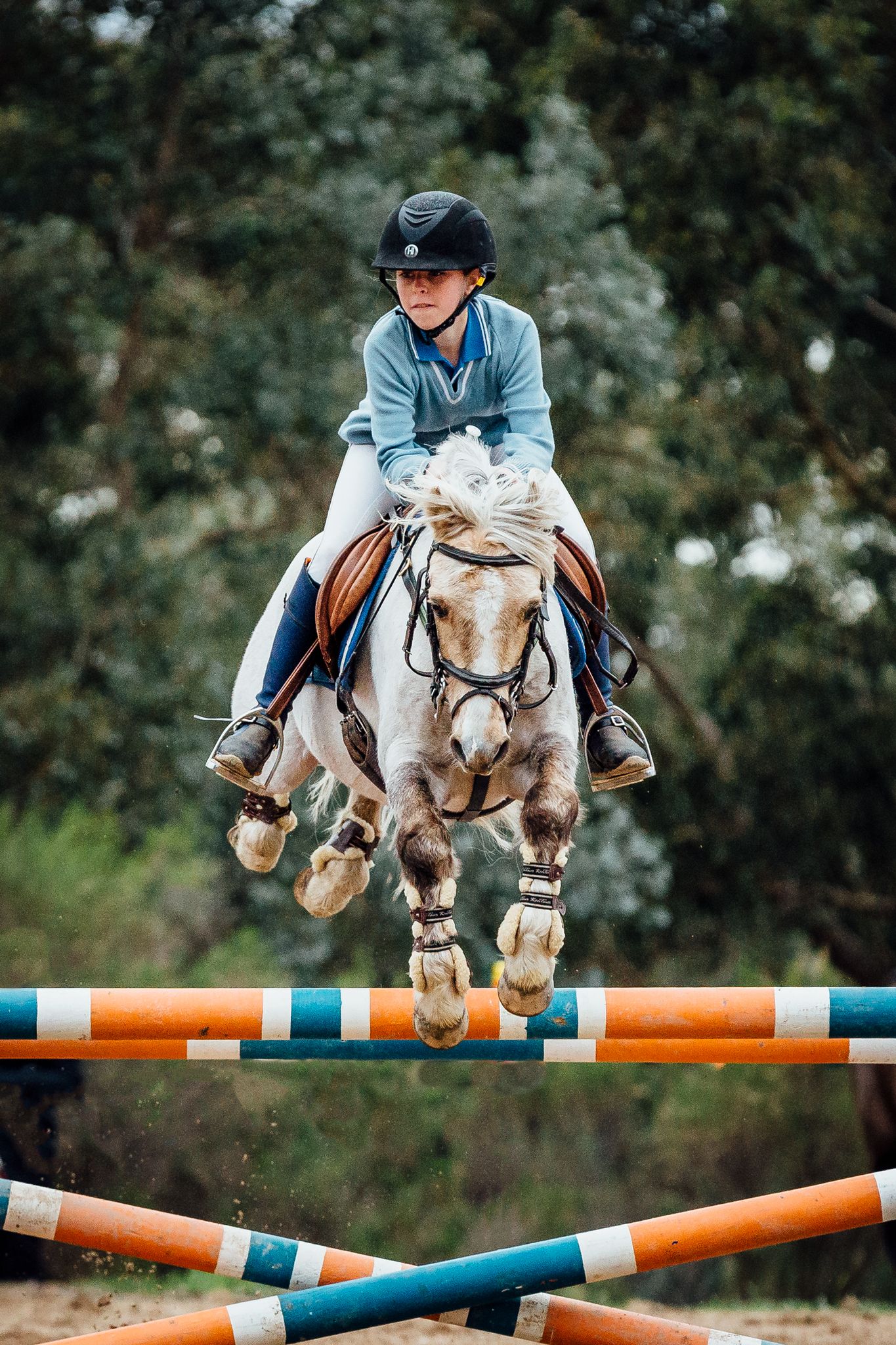 showjumping child on pony