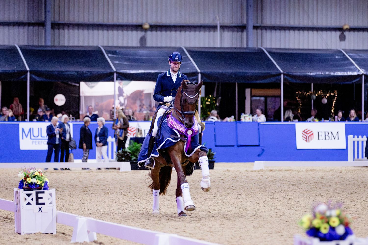 presentation lap of honour dressage with the stars