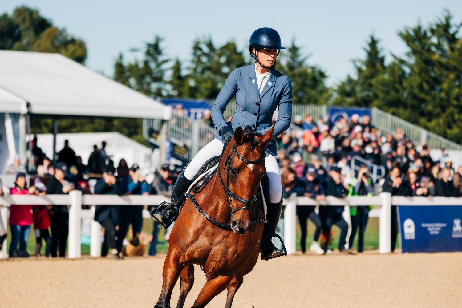 melbourne international three day event showjumping