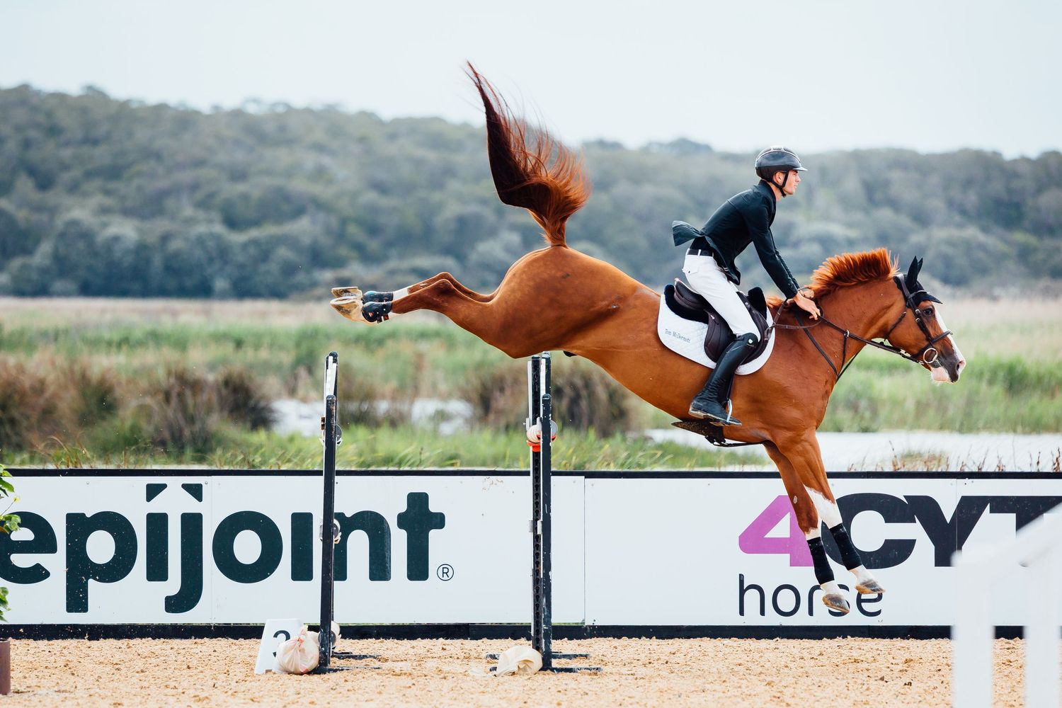 showjumping boneo park