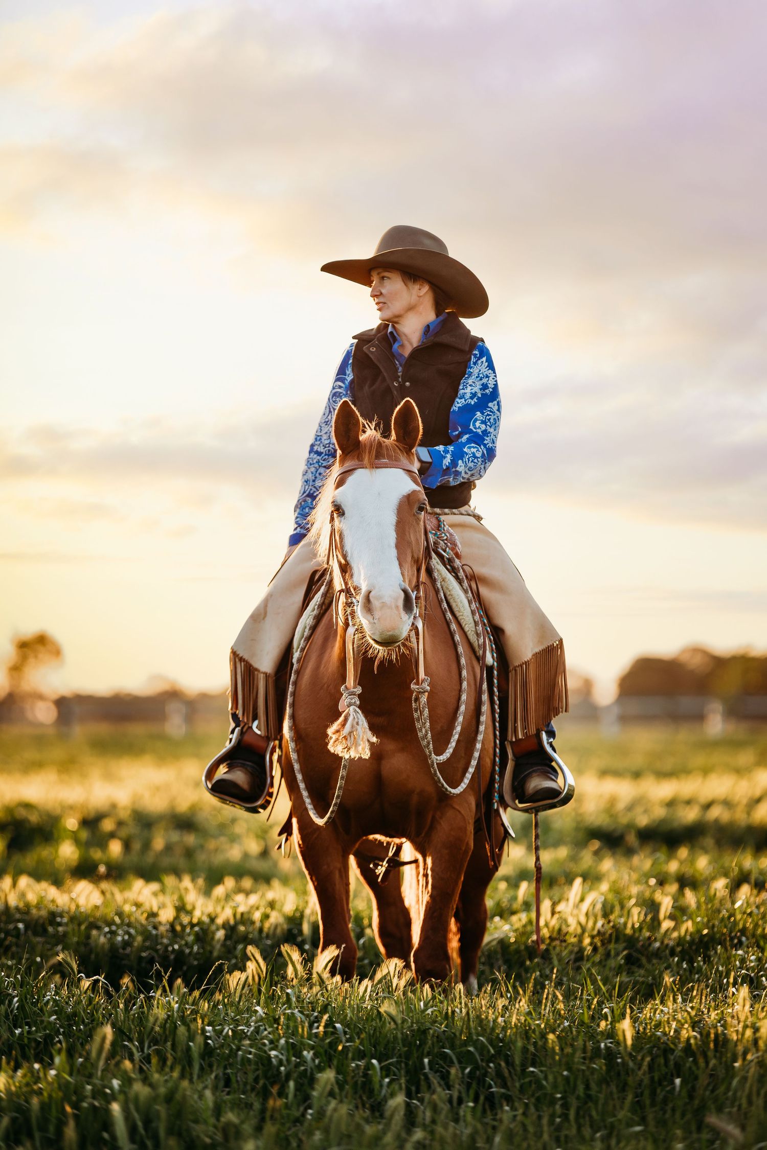 fine art equine portrait victoria australia horse and rider