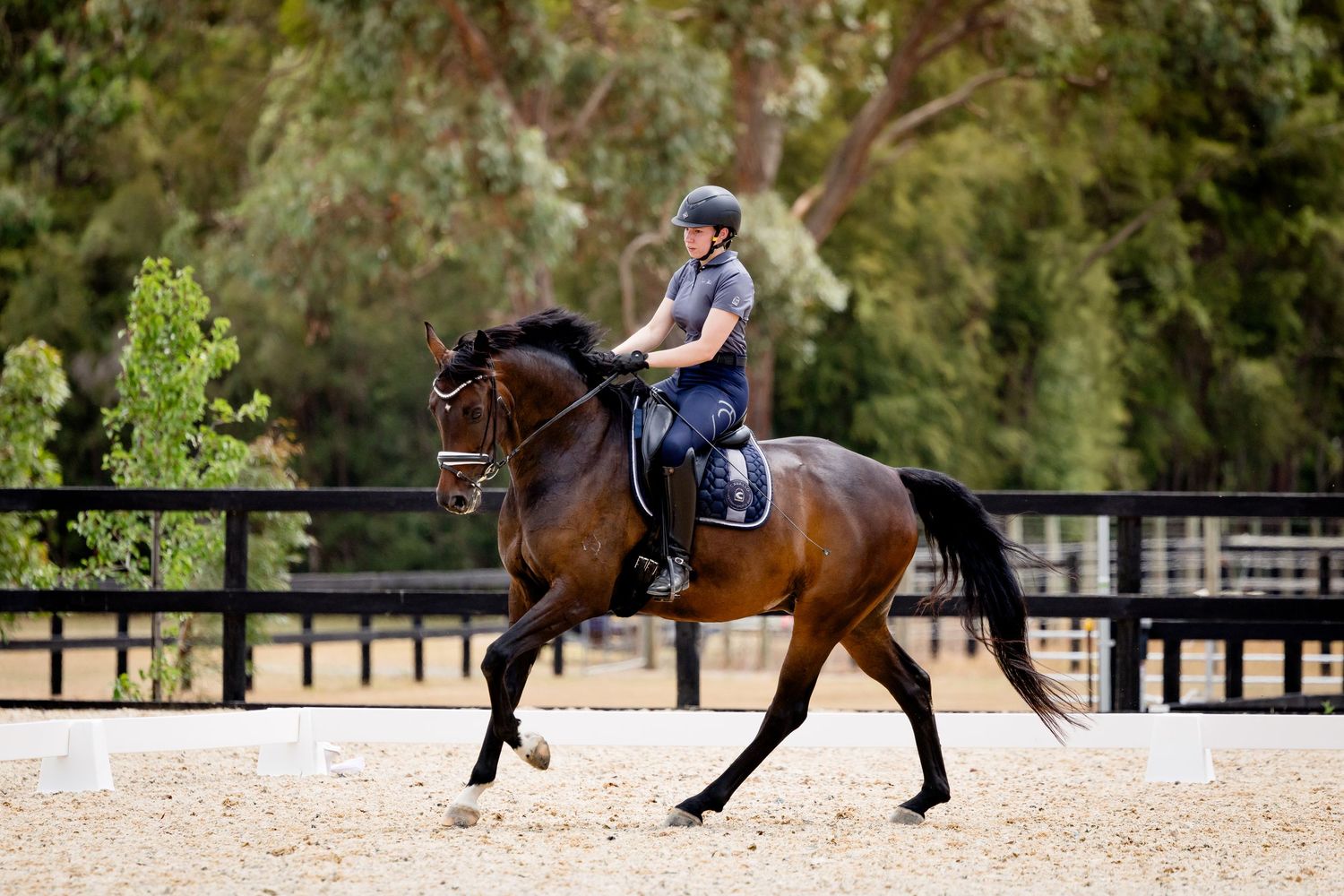 under saddle photoshoot at shirley heights equestrian sales
