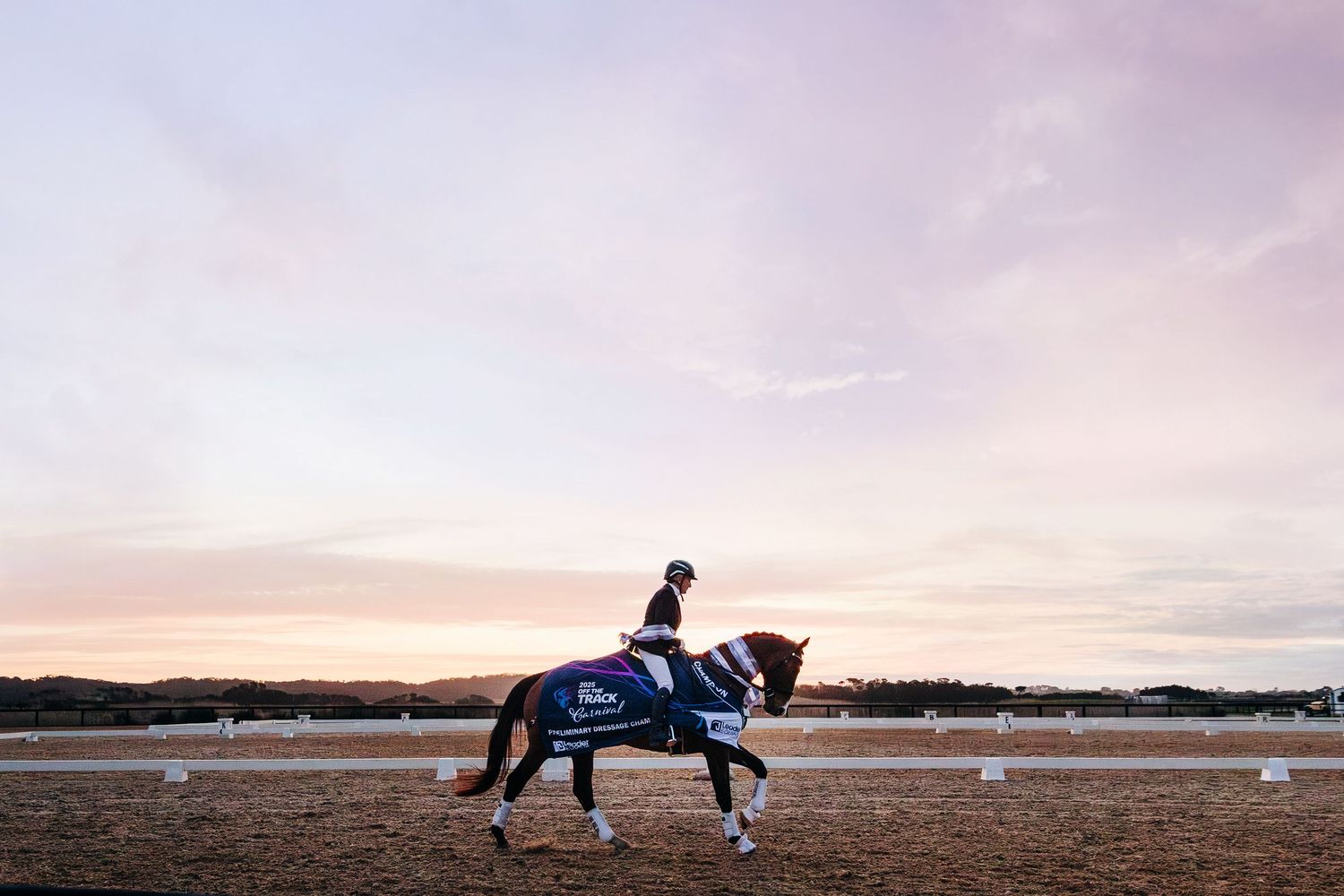 equine sports photographer equestrian australia dressage showjumping eventing olympic victoria