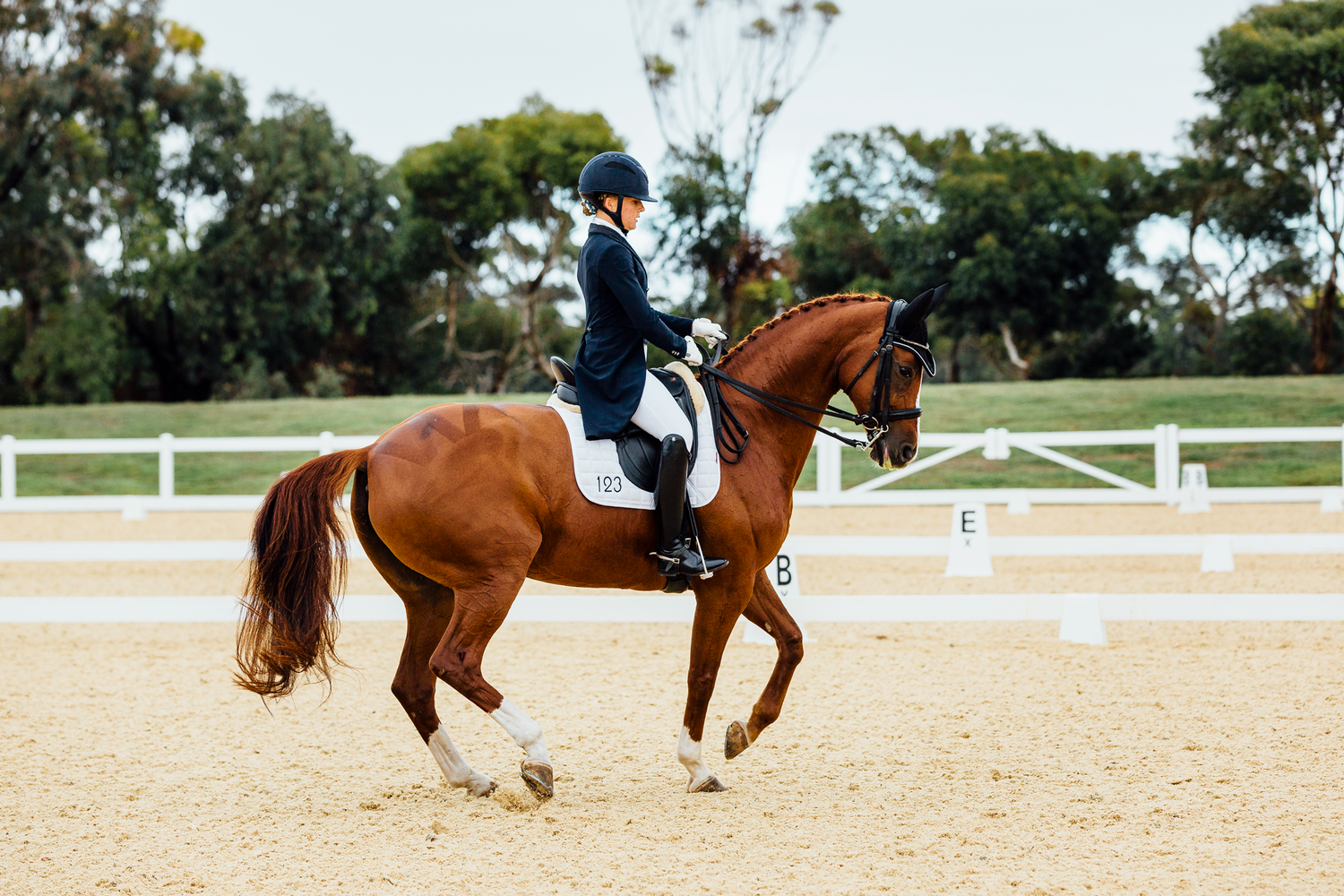 dressage werribee park