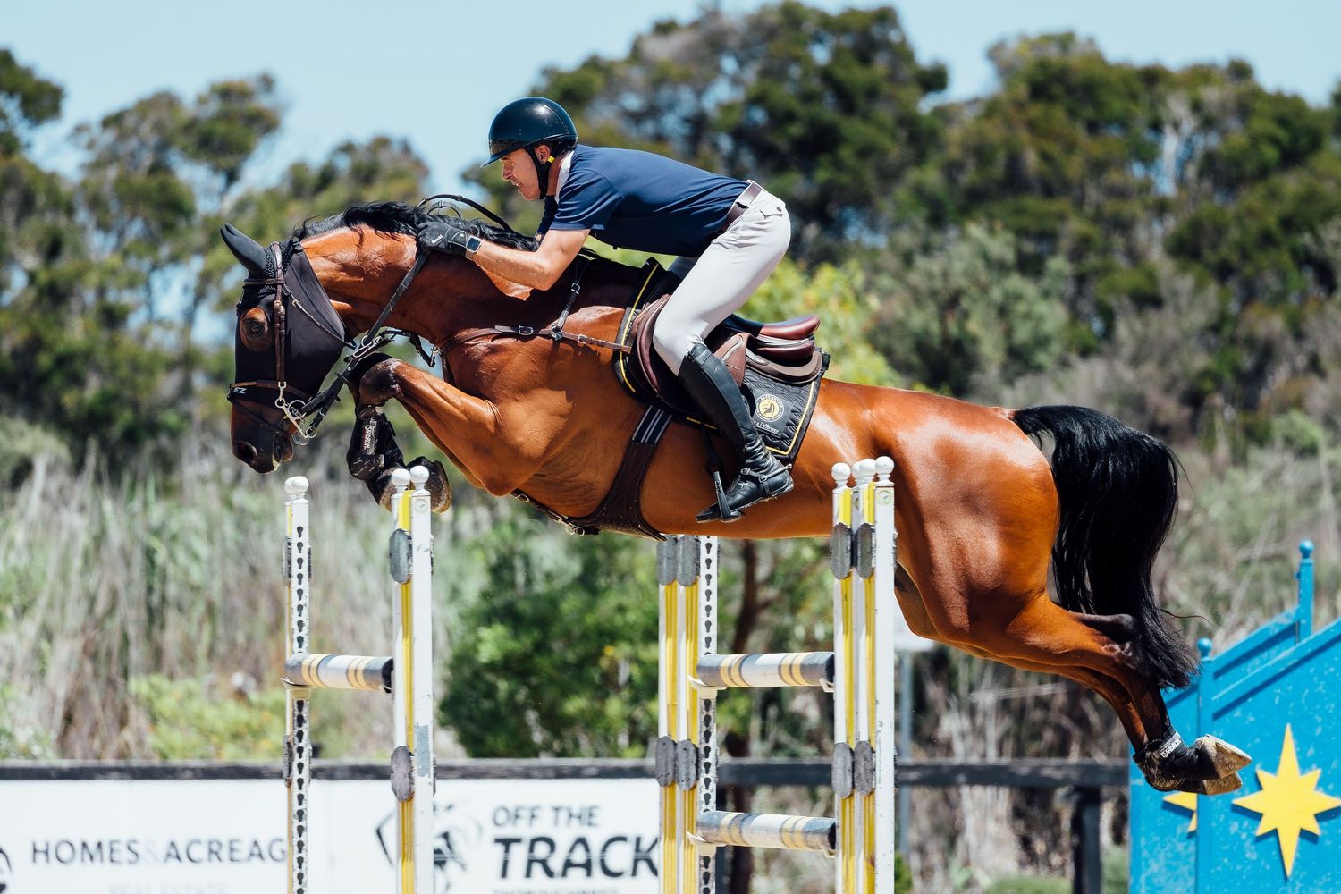 showjumping boneo park