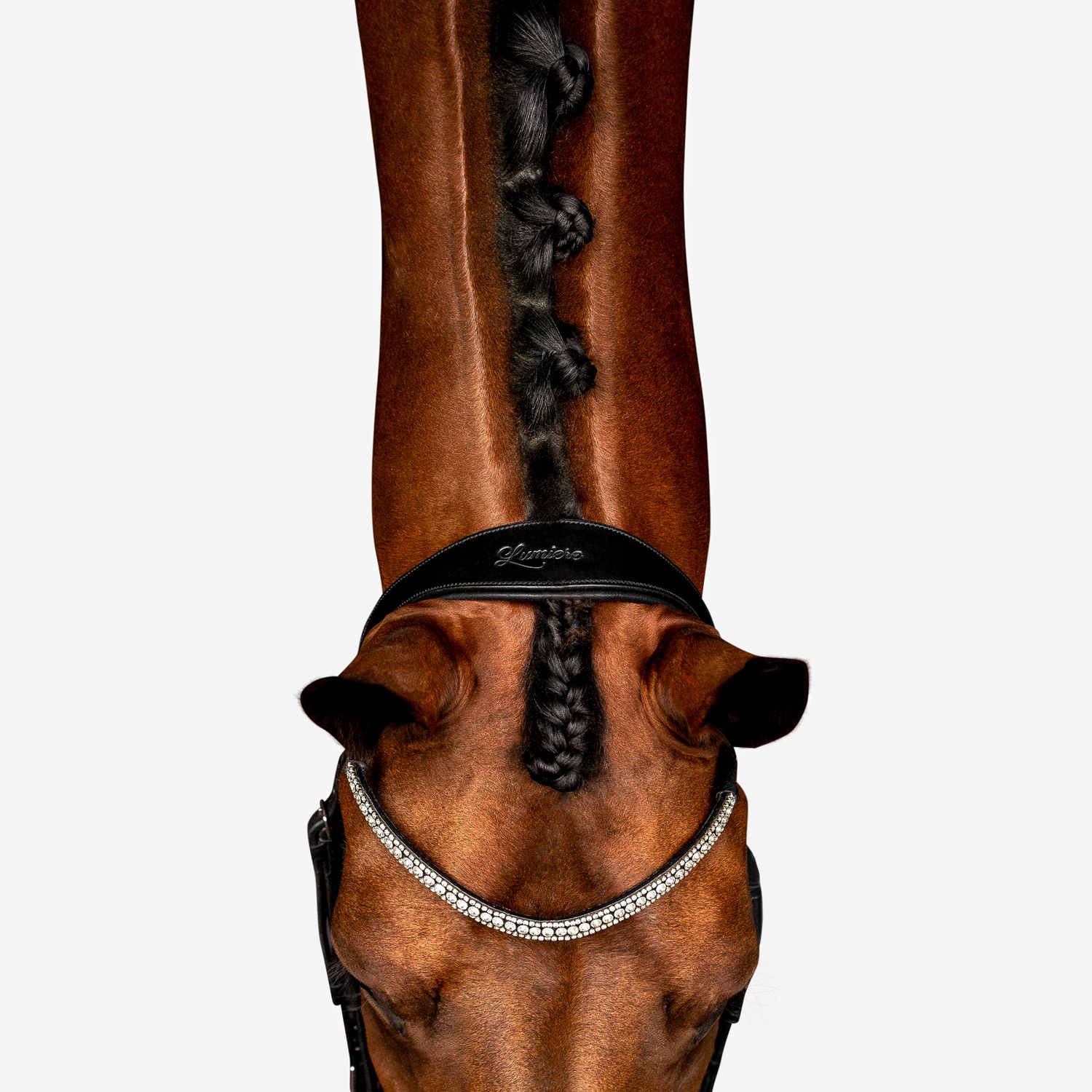 photography commercial breeches equestrian clothing boots studio