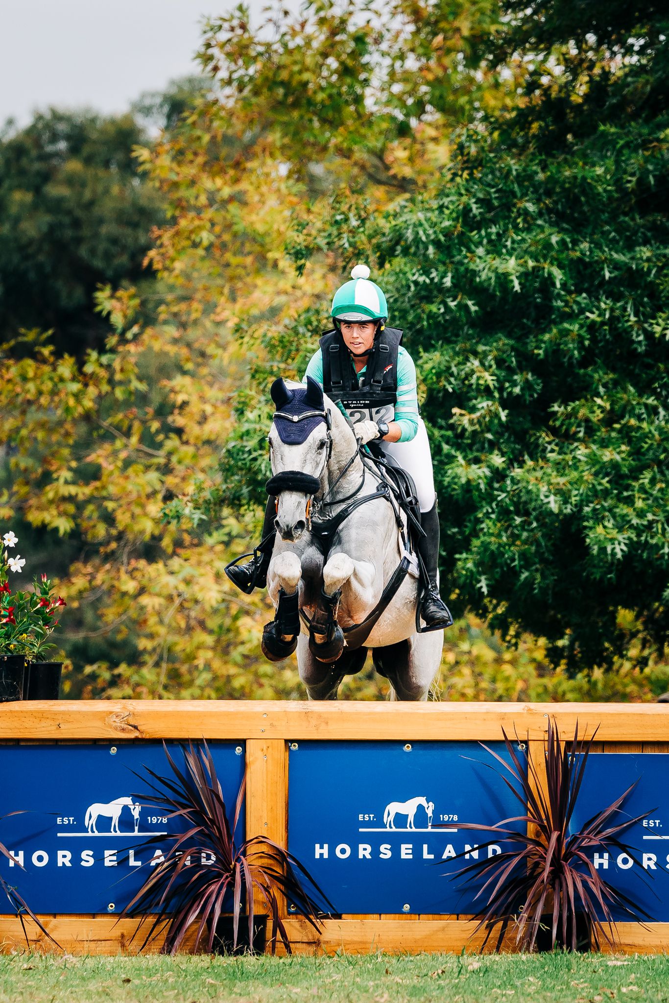 wandin park horseland horse trials cross country autumn leaves
