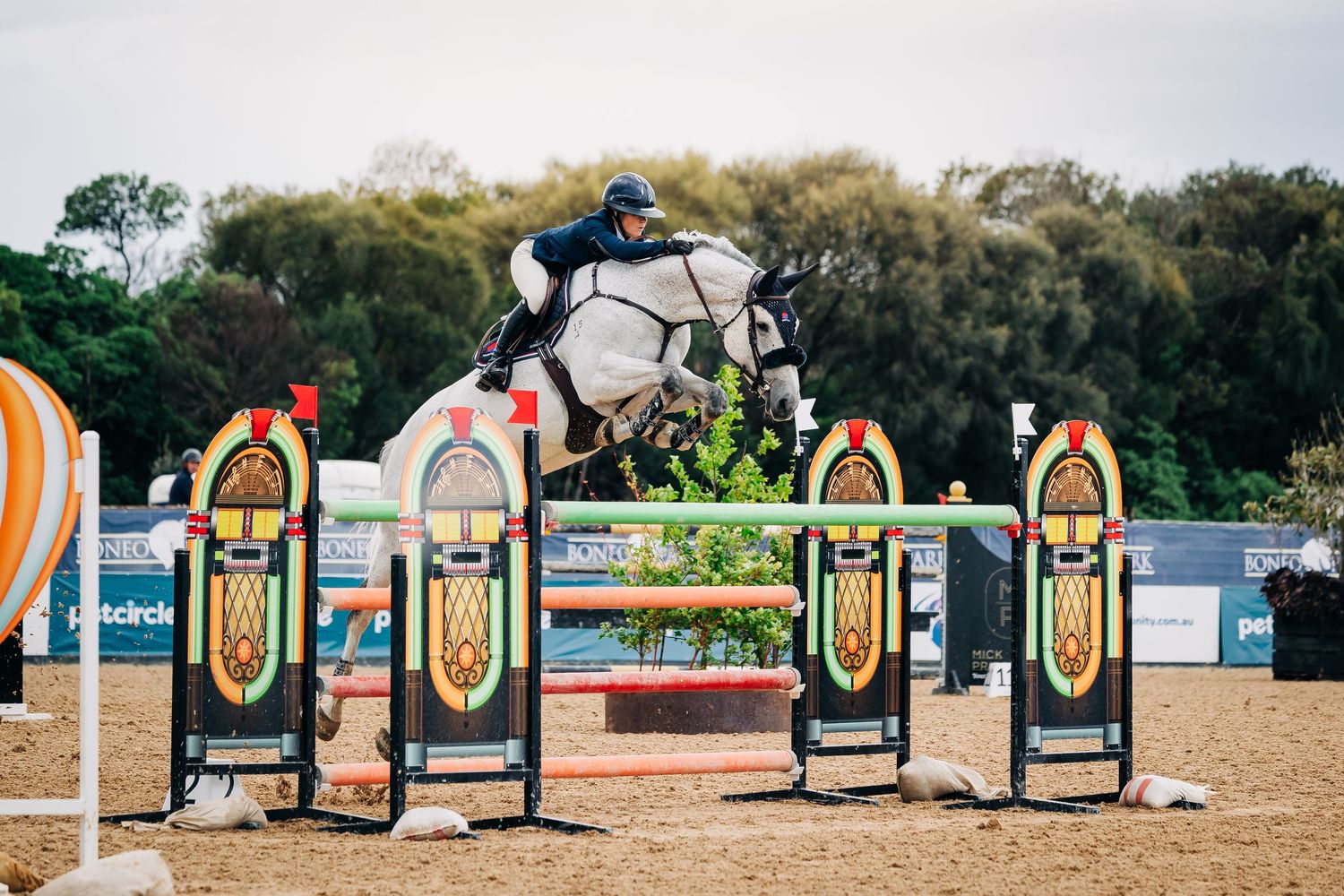 boneo showjumping
