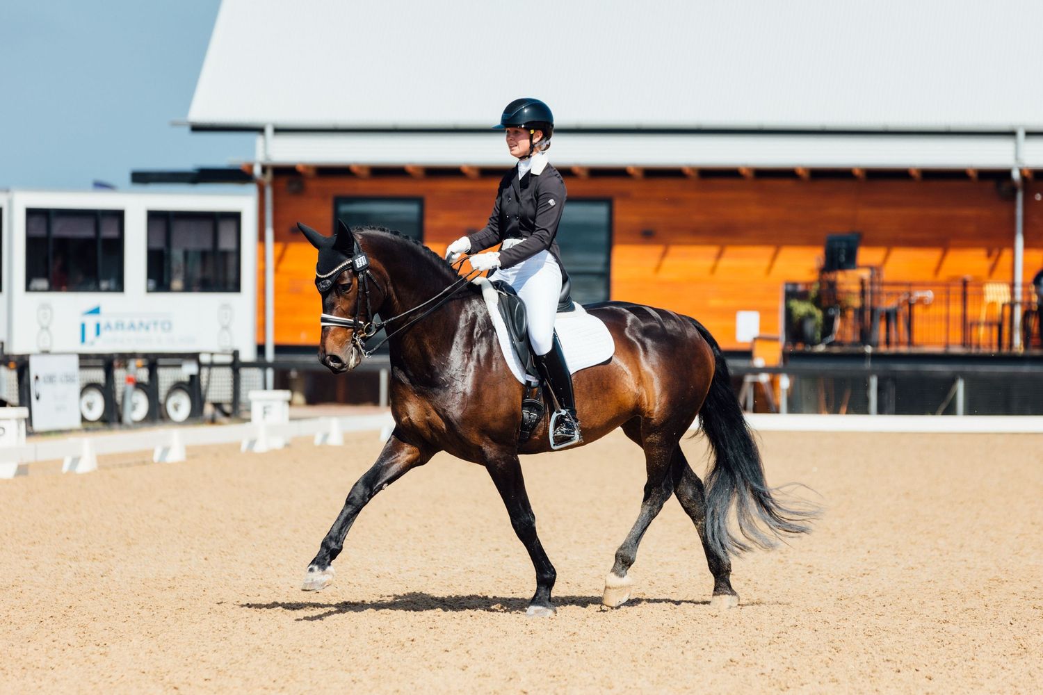 boneo park dressage