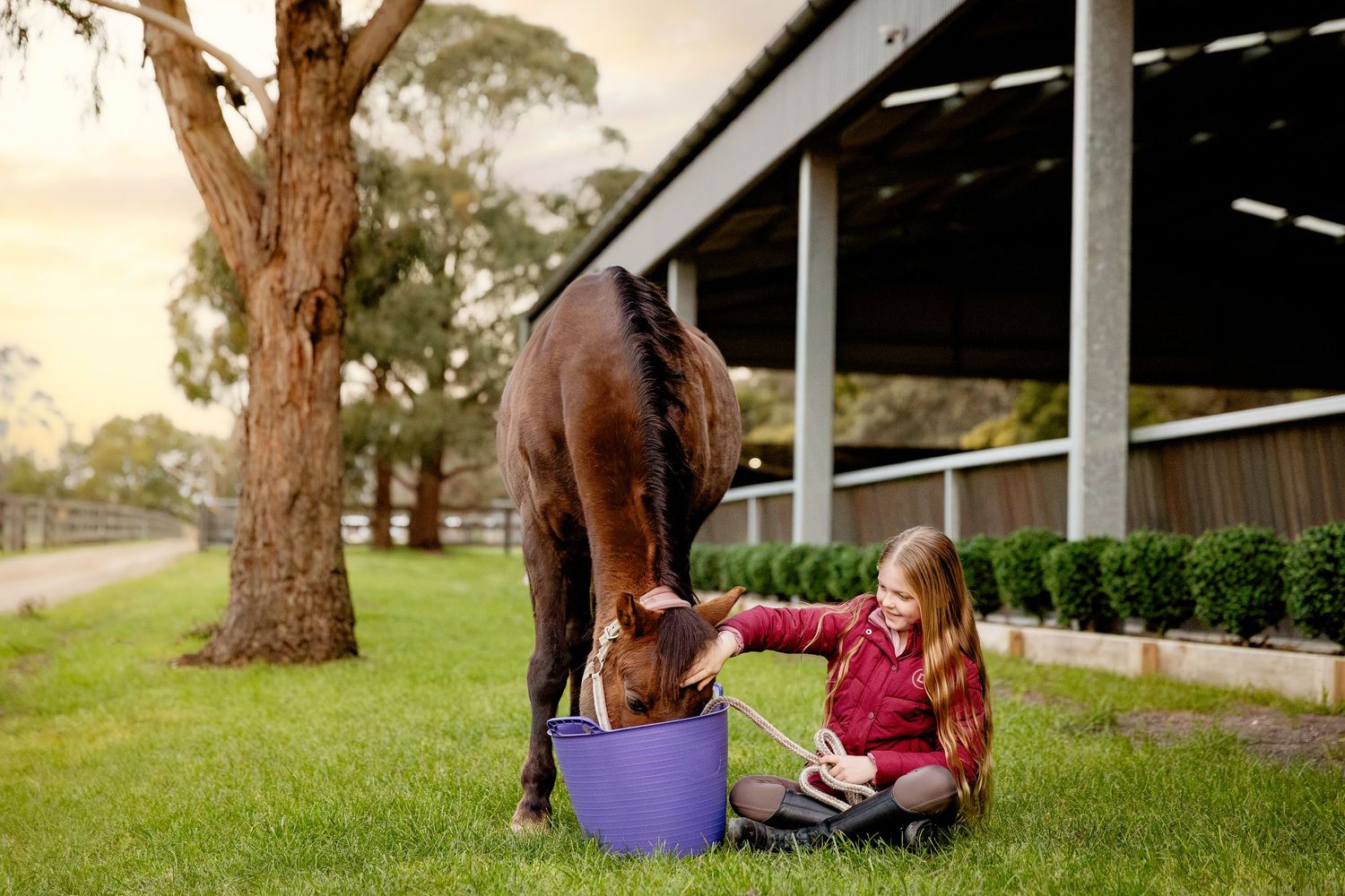 photography commercial equestrian