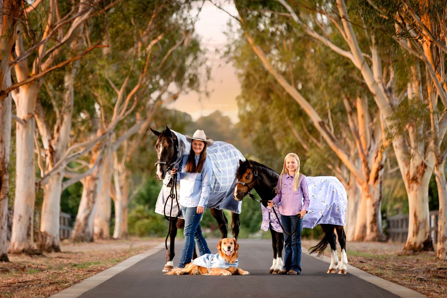 commercial equine photography melbourne australia personal branding product goodwoods rug mornington peninsula