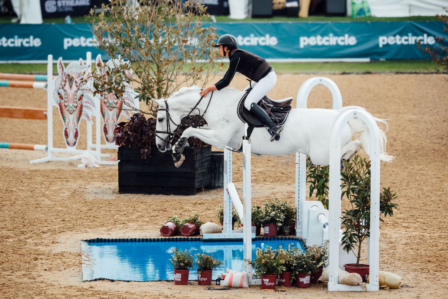showjumping liverpool water tray boneo park