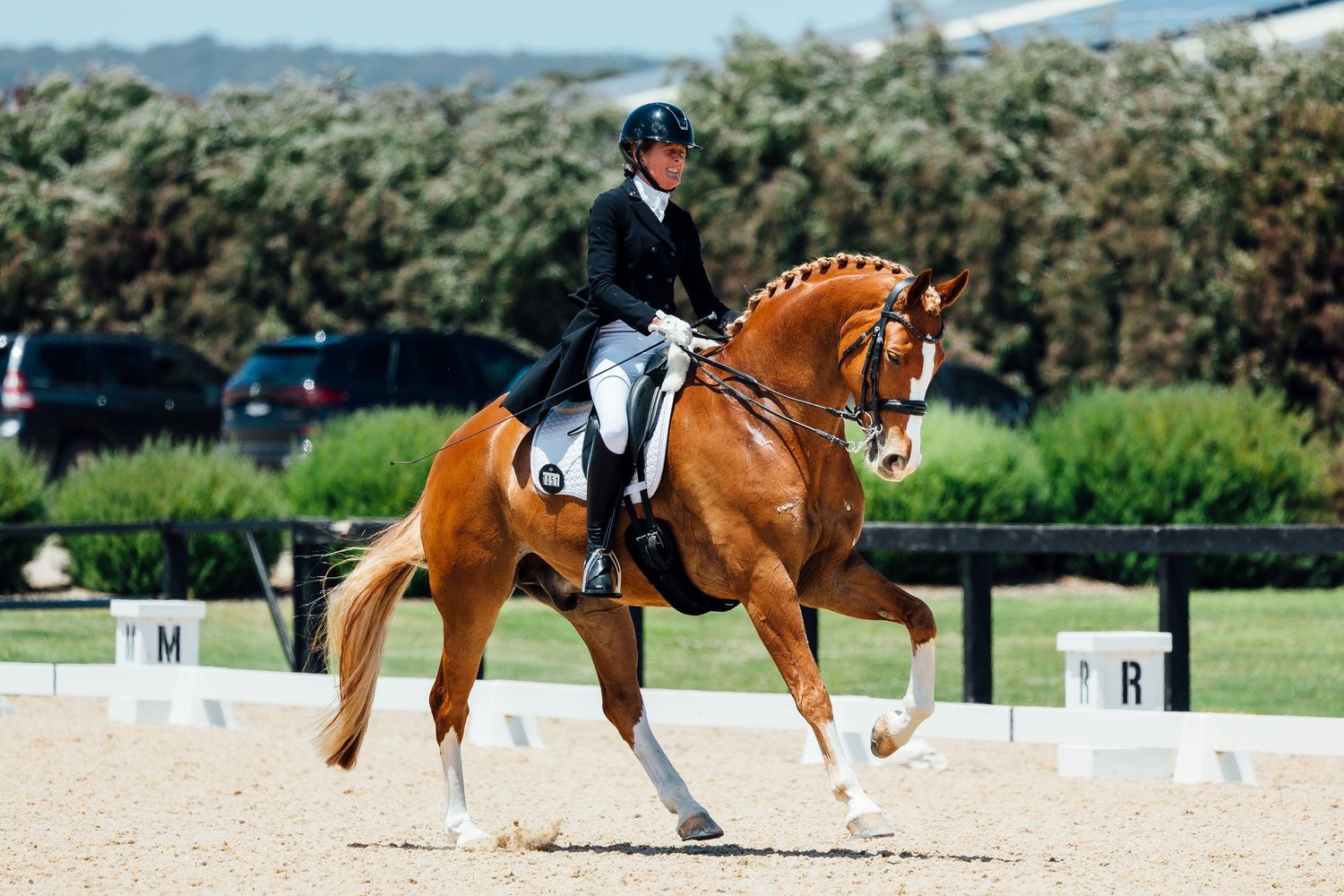 dressage canter boneo park