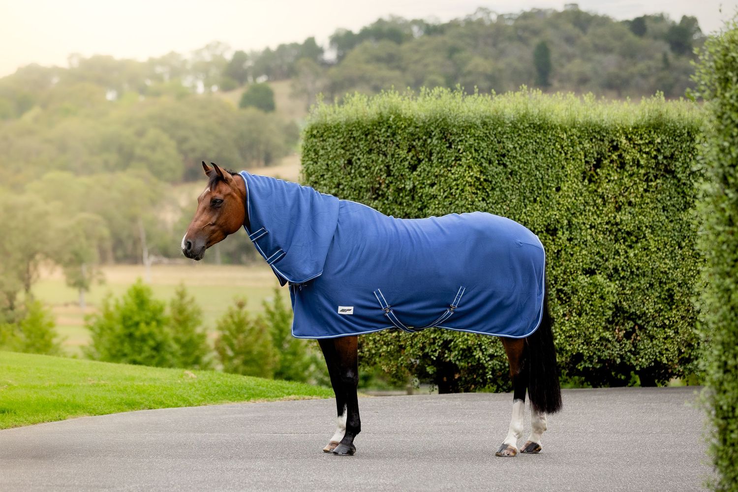 commercial equine photography melbourne australia personal branding goodwoods ashford park horse rug