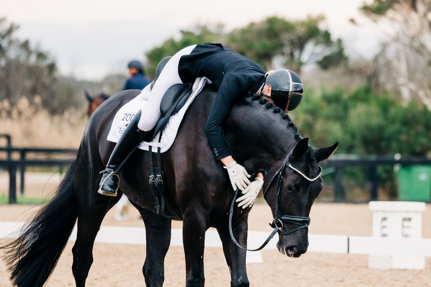 dressage boneo park