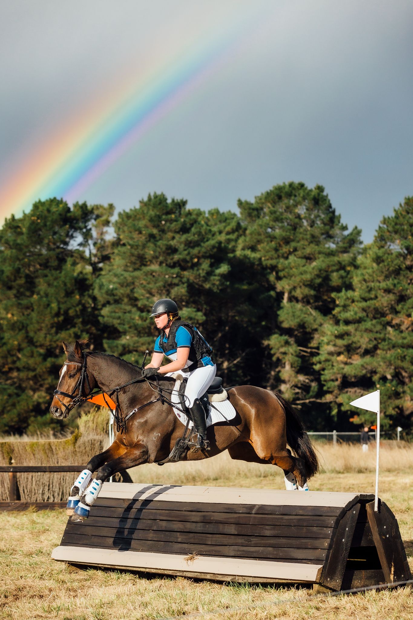 rainbow ballarat horse trials cross country