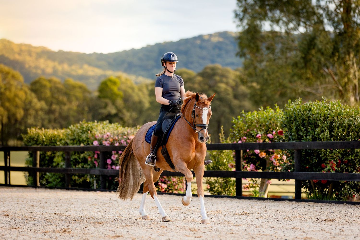 commercial equine photography melbourne australia personal branding eq saddlery shirley heights