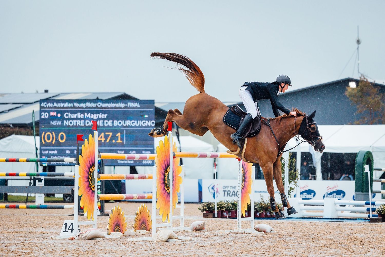 australian jumping championships boneo park
