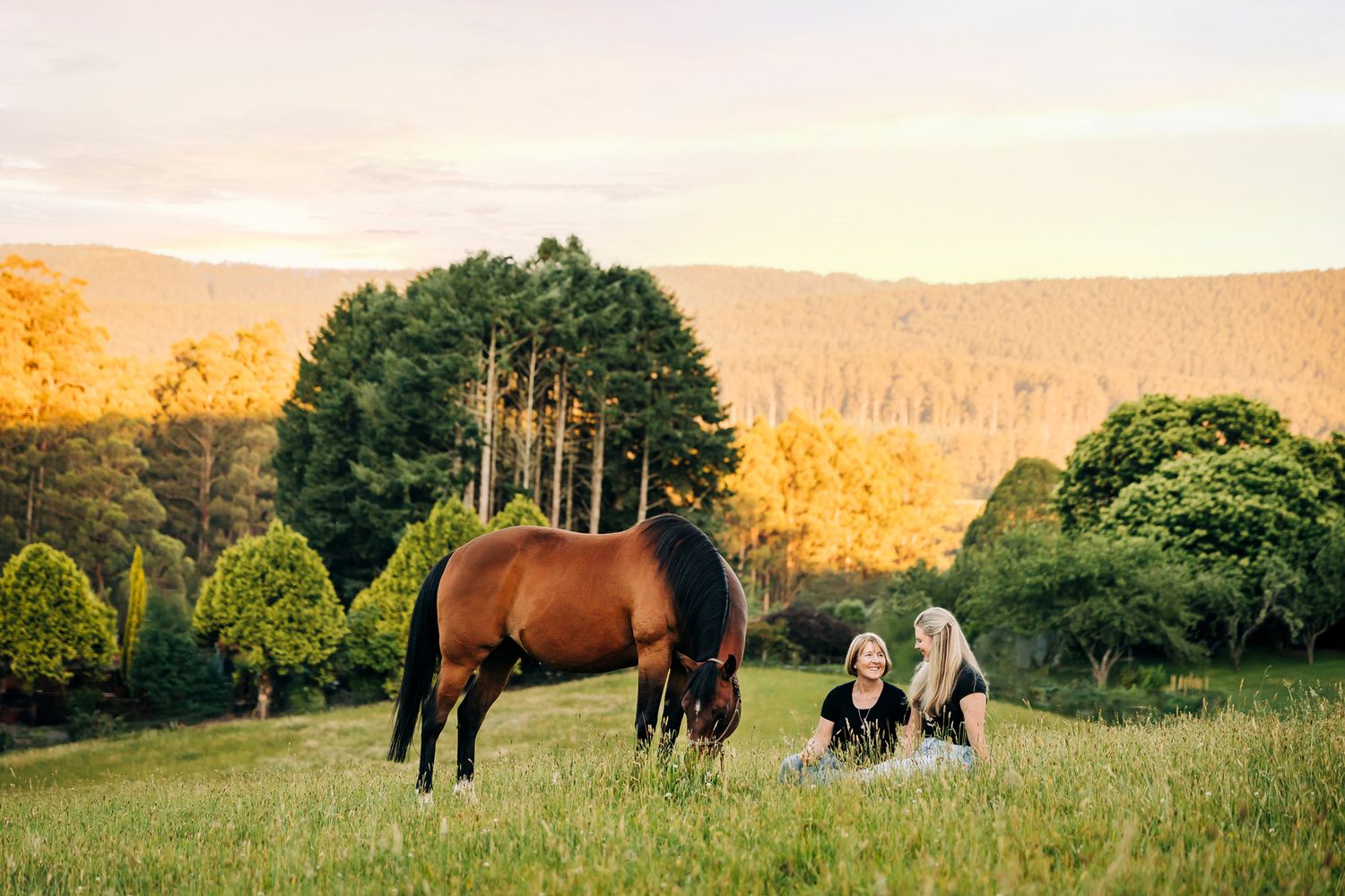 fine art equine portrait victoria australia horse and rider