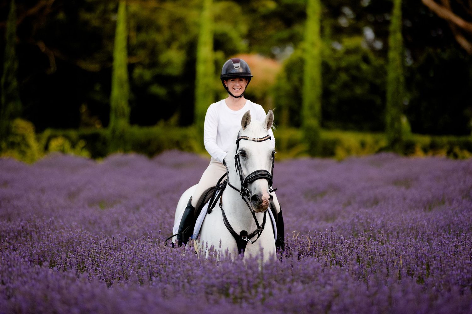 commercial equine photography melbourne australia personal branding product red hill lavender lumiere