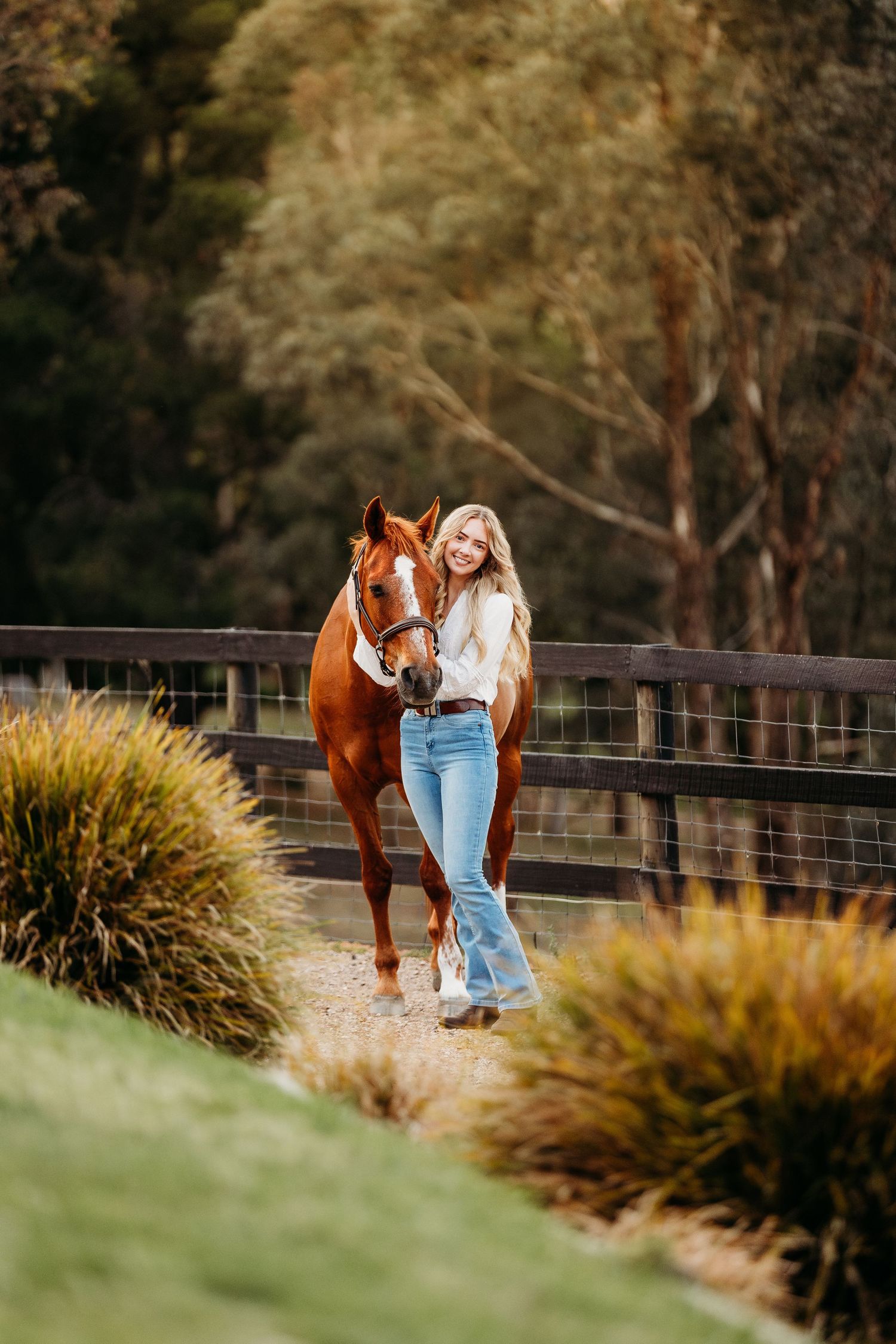 fine art equine portrait victoria australia horse and rider