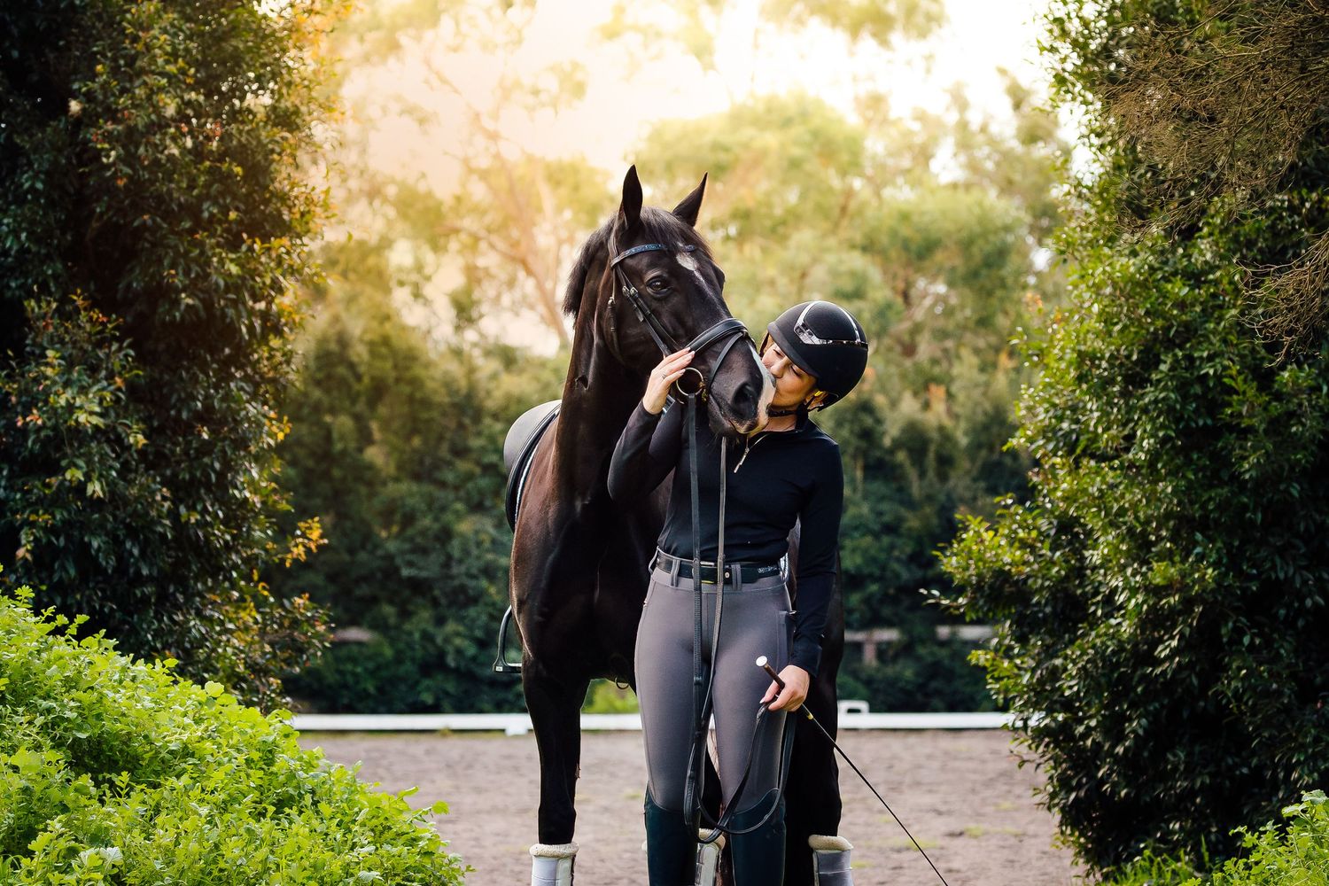 equine portrait horse and rider sunset melbourne australia mornington