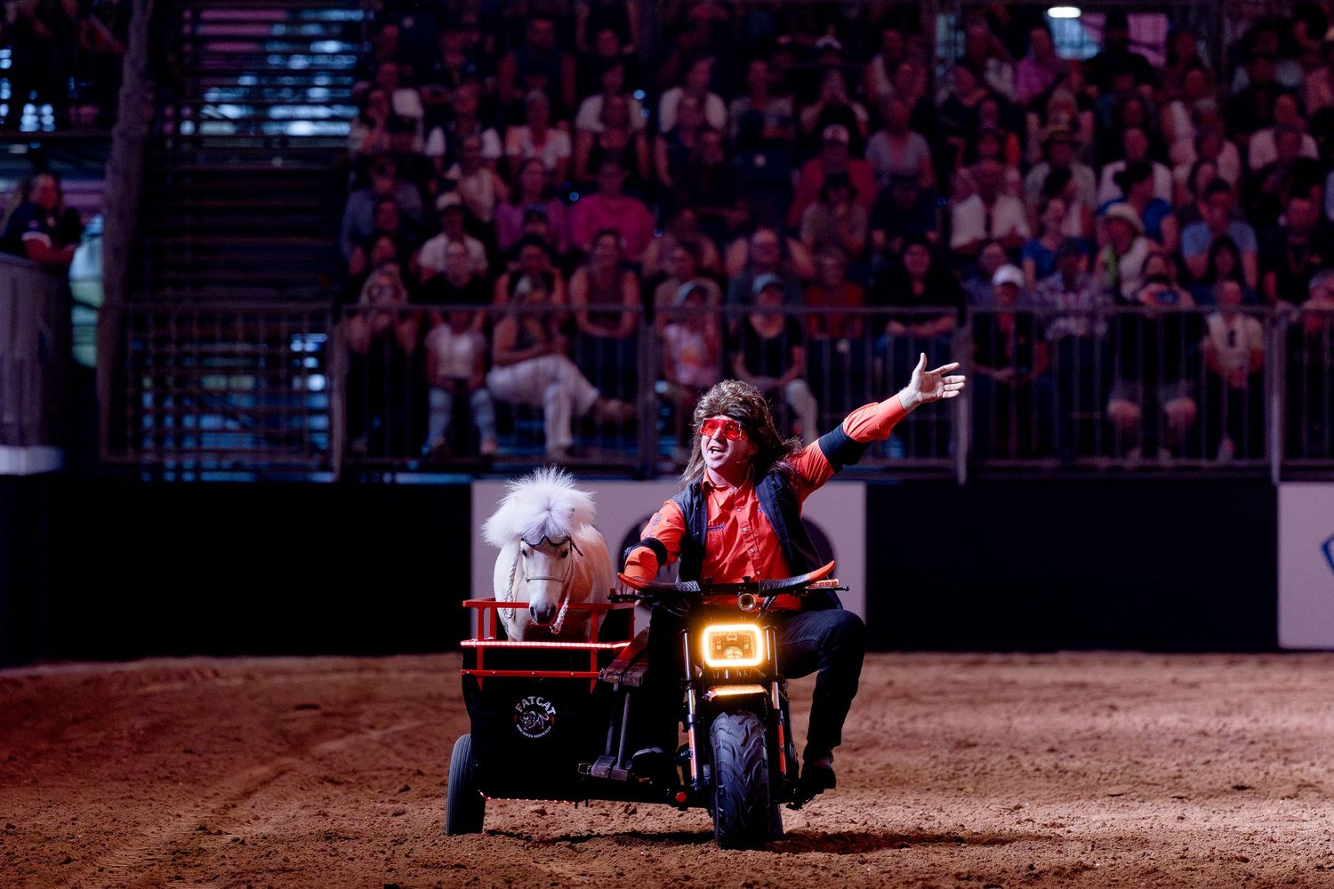 equitana the mane event pony in side car
