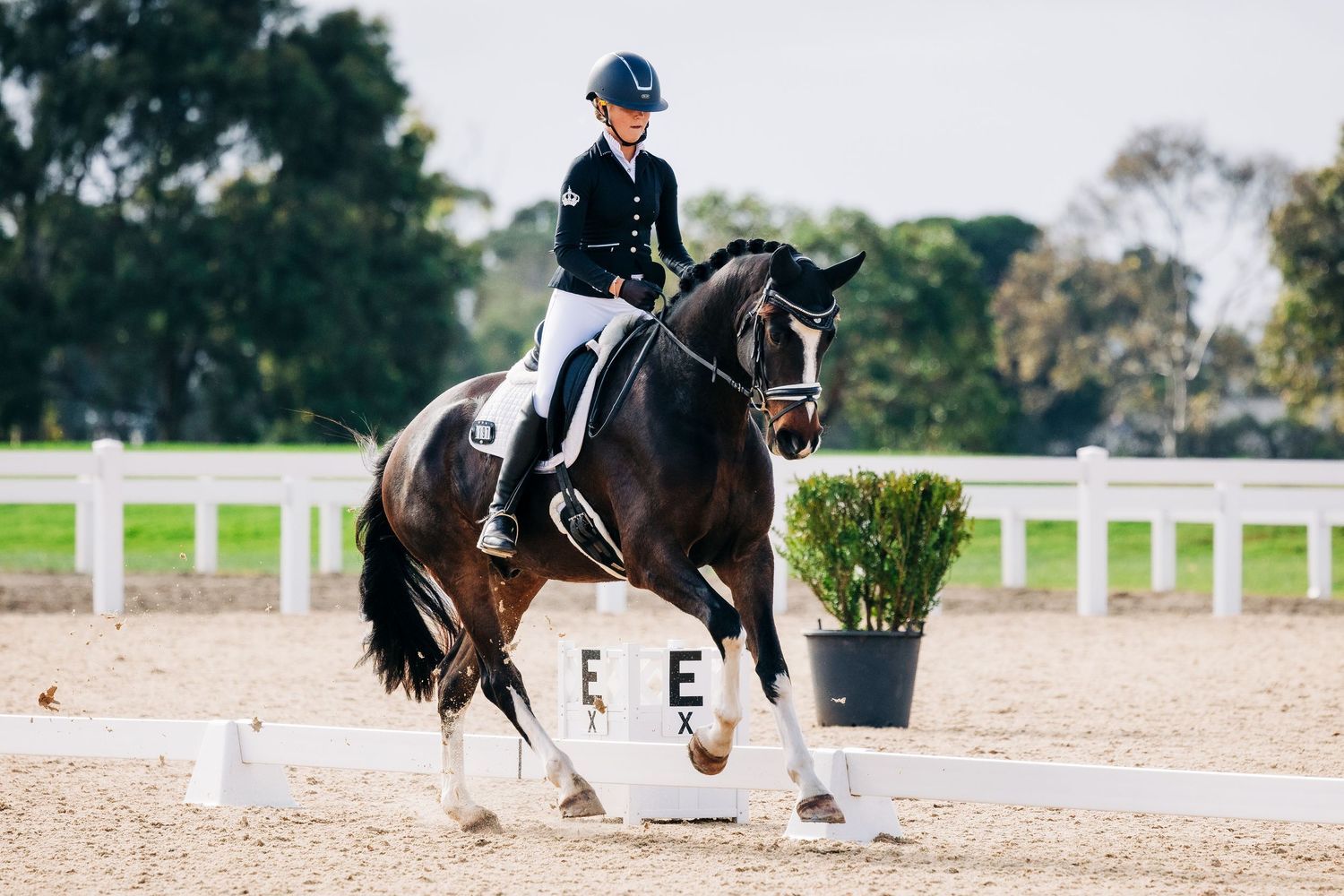 werribee park canter dressage