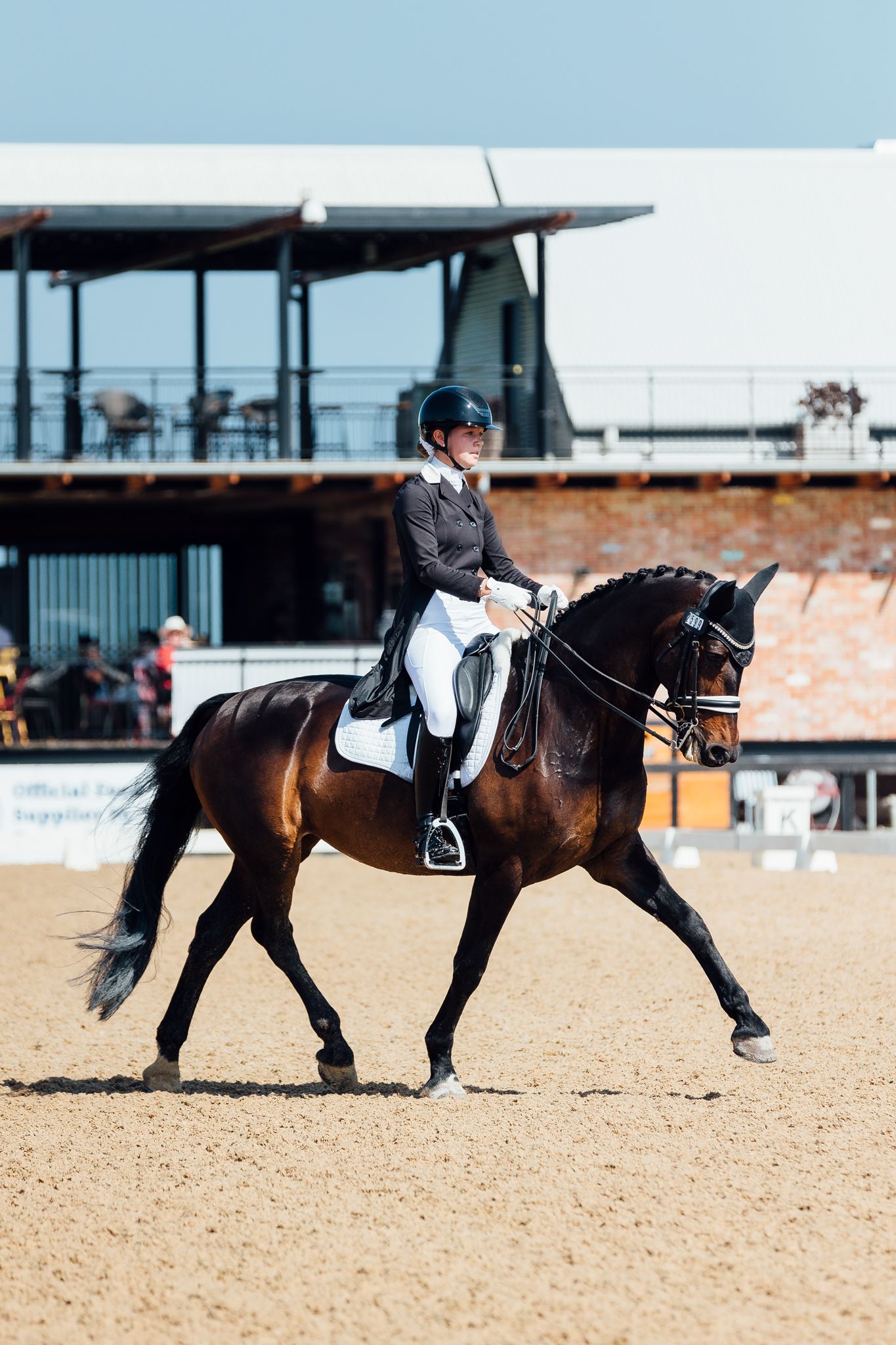 dresage boneo park trot