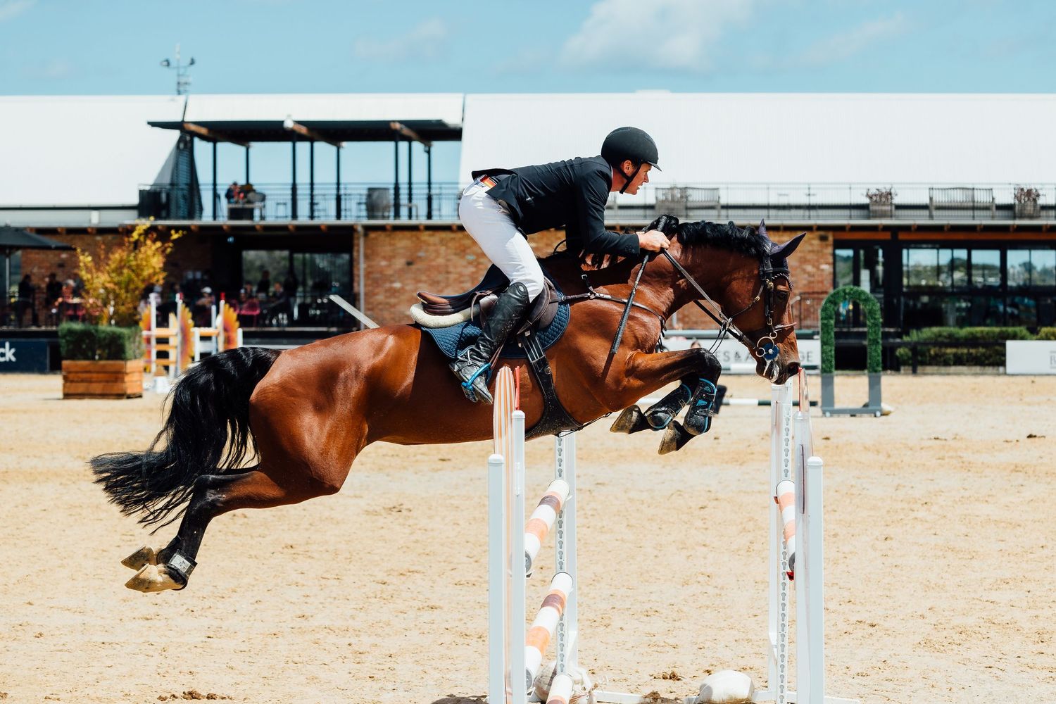 showjumping boneo park