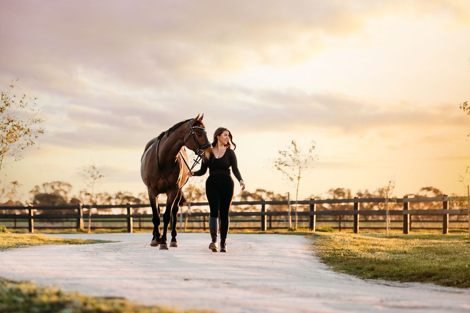 equine portrait horse and rider sunset melbourne australia geelong