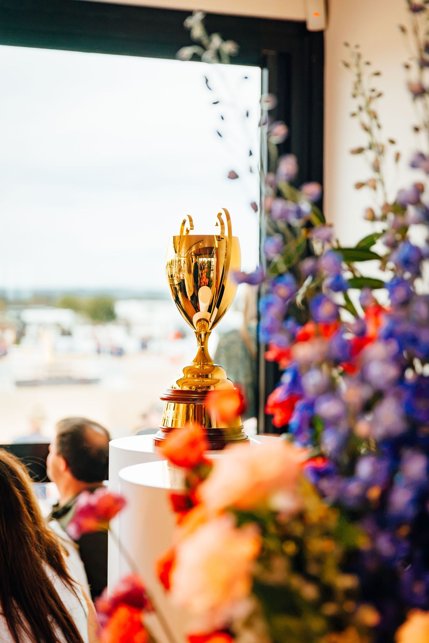 caulfield cup melbourne boneo park VIP