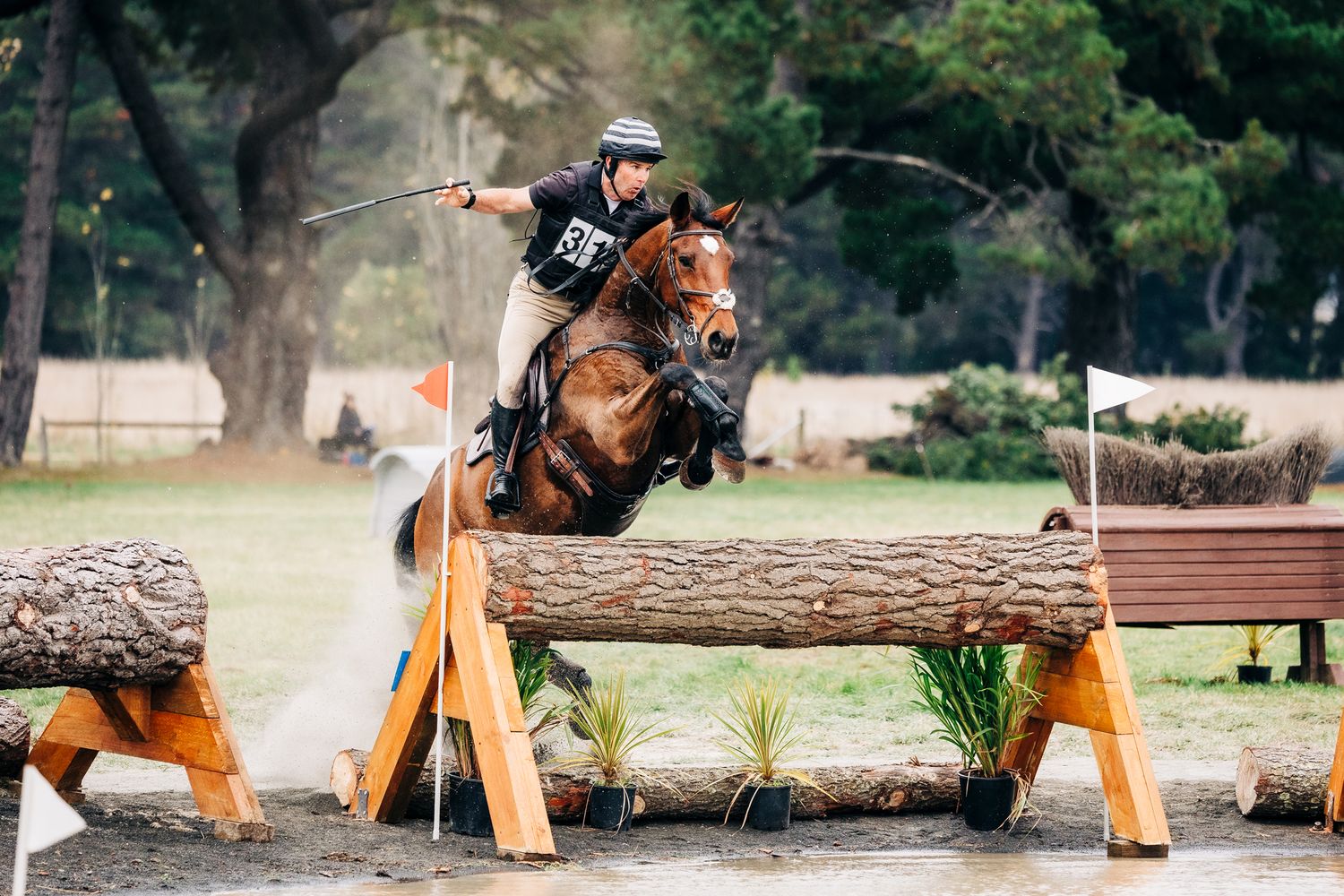 ballarat international horse trials water jump