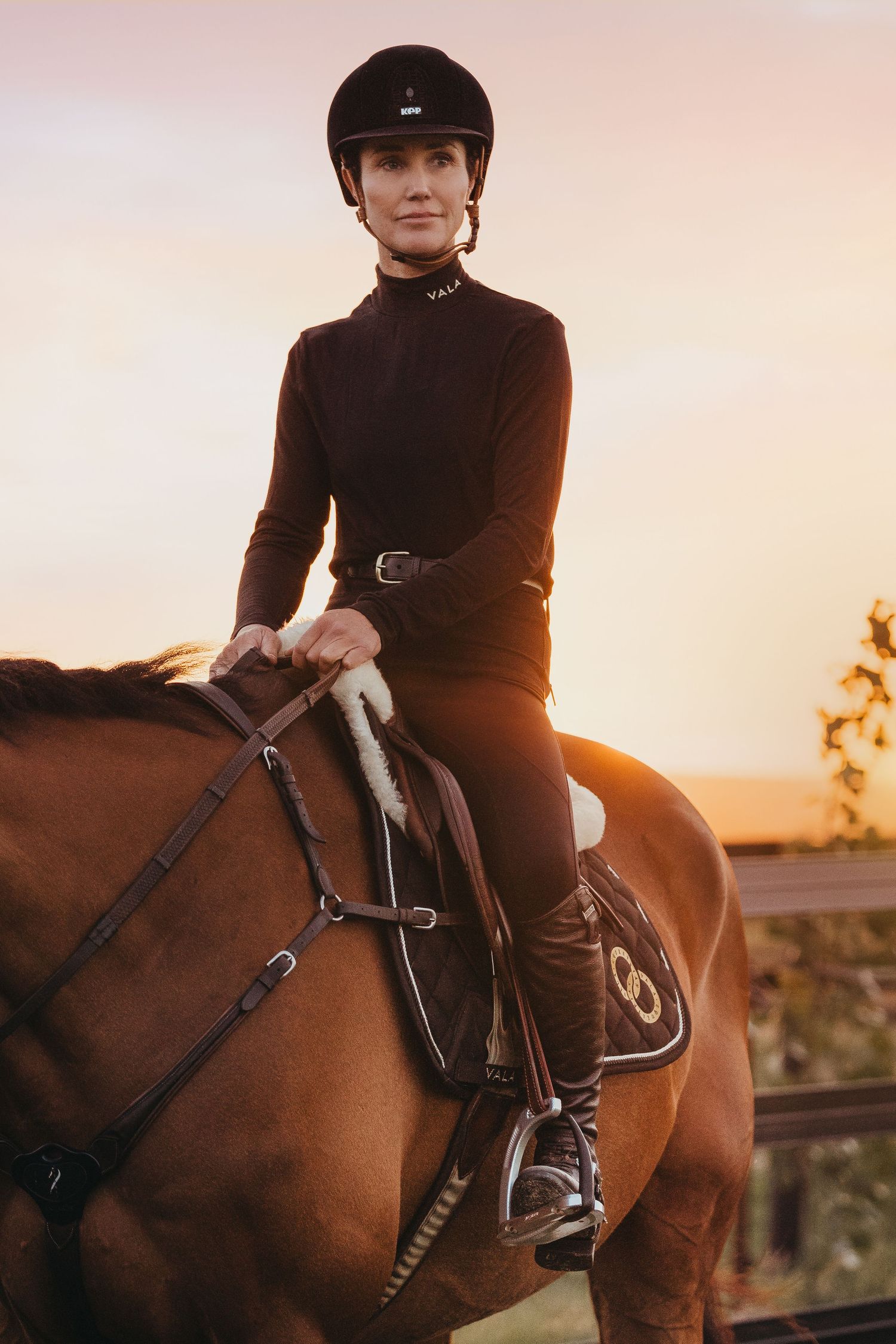 photography commercial equestrian