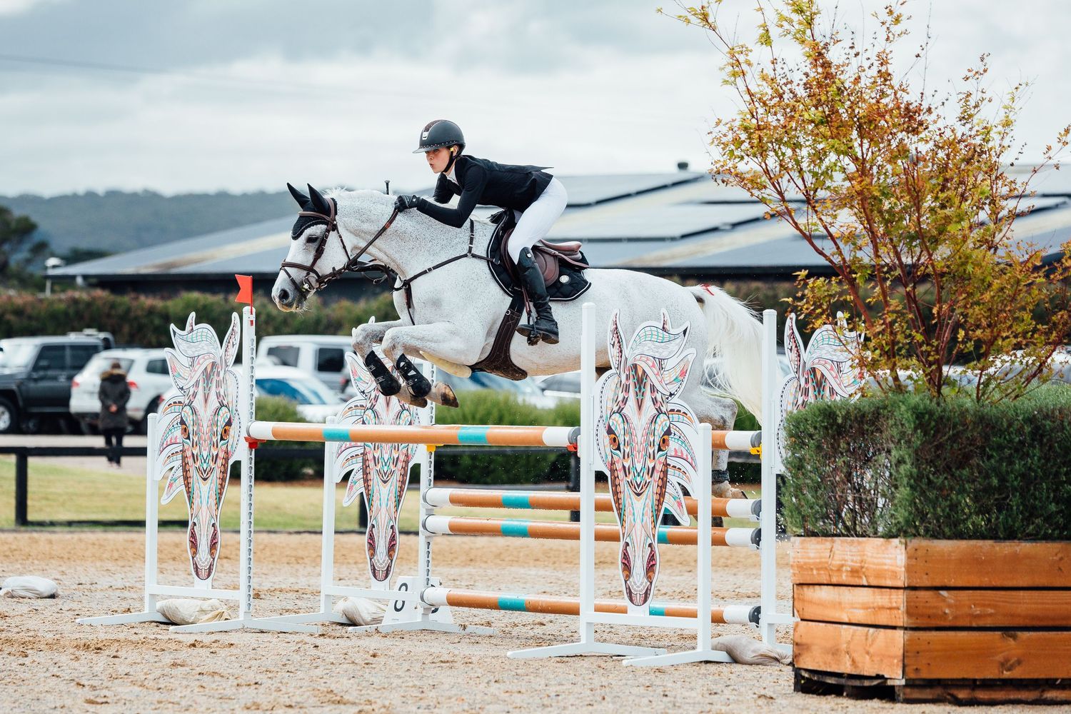 showjumping boneo park