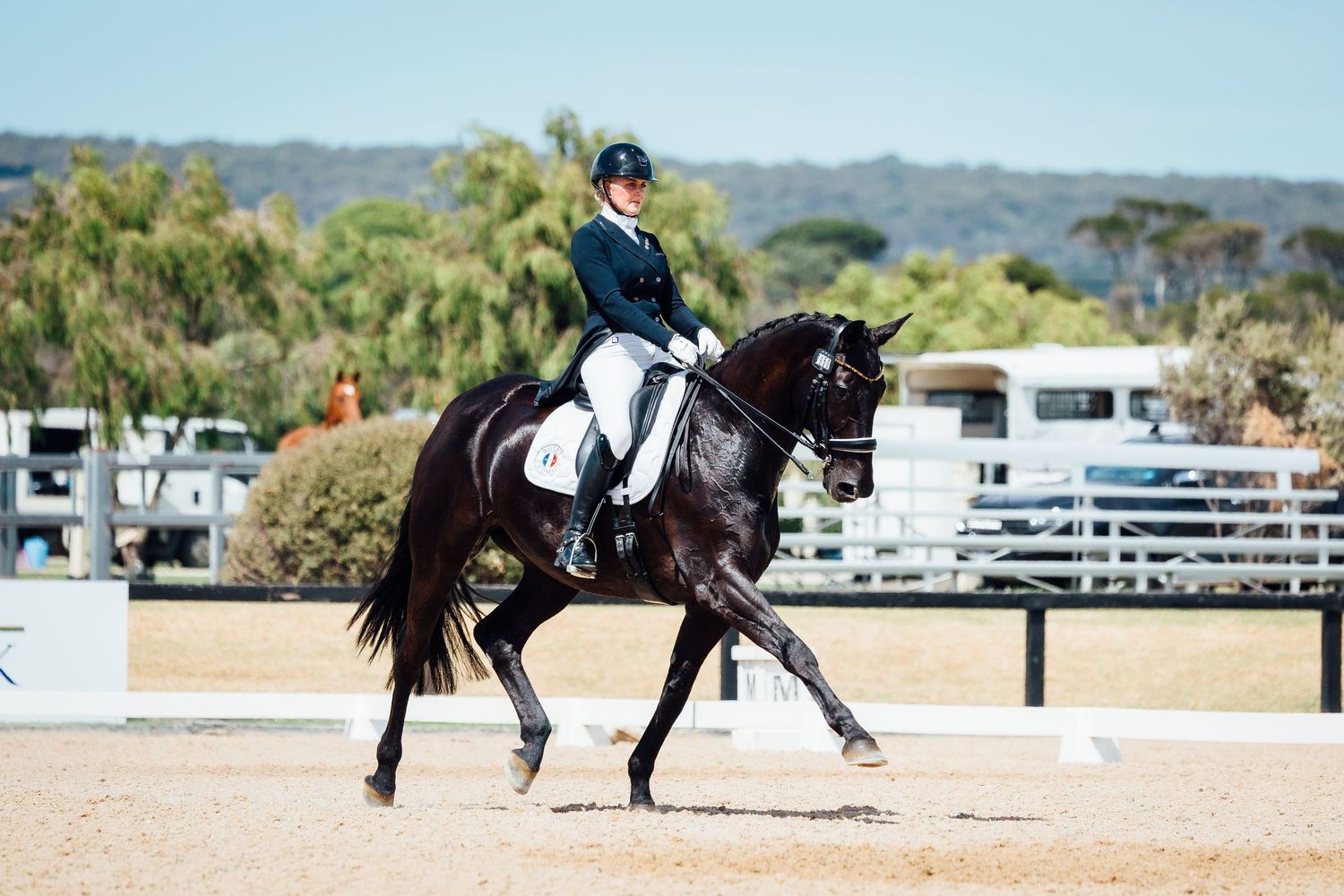 dressage extended trot boneo park