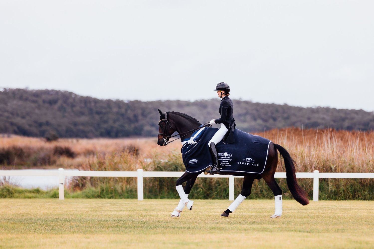 australian dressage championships boneo park presentation lap of honour