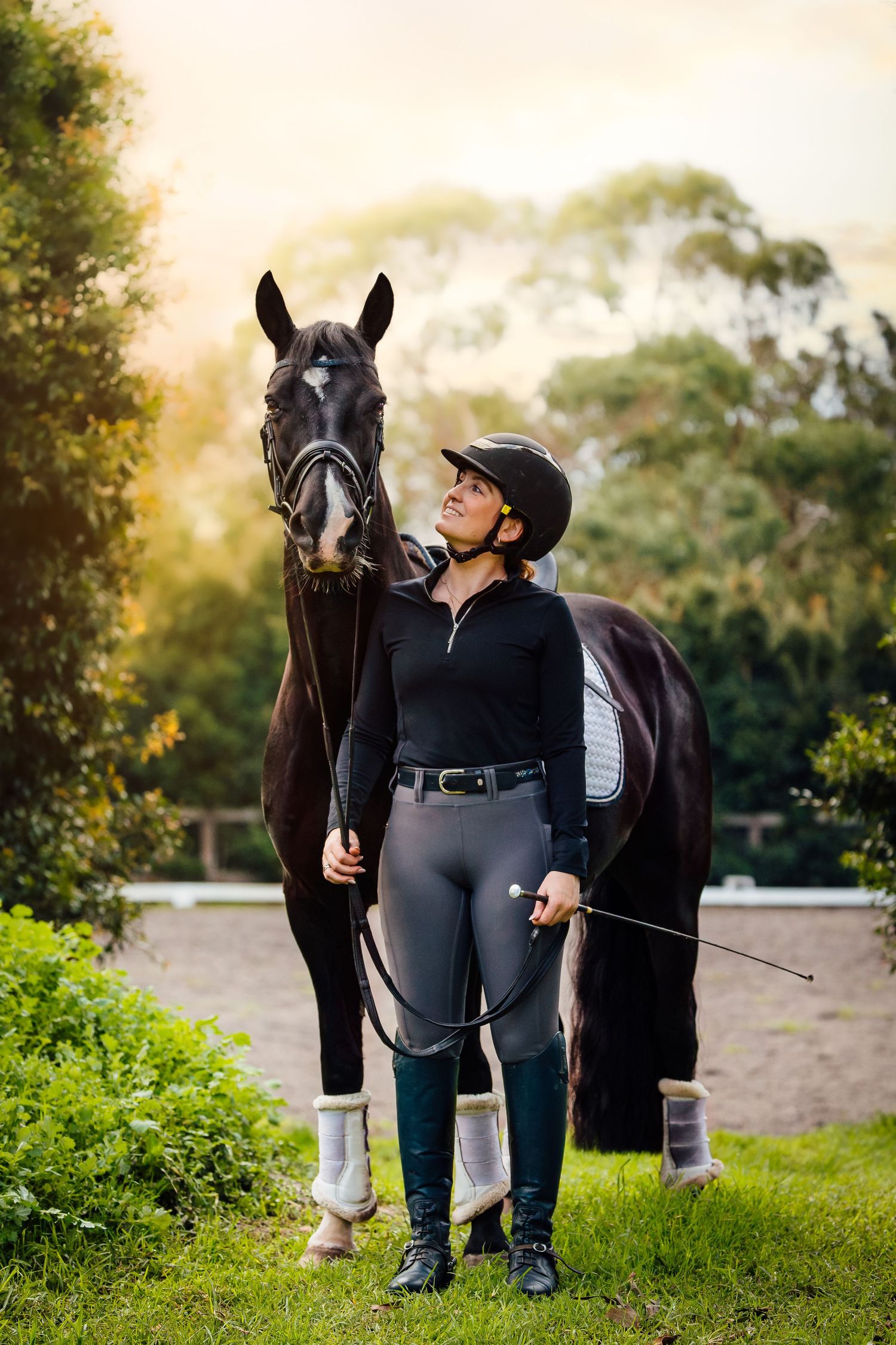 equine portrait horse and rider sunset melbourne australia mornington