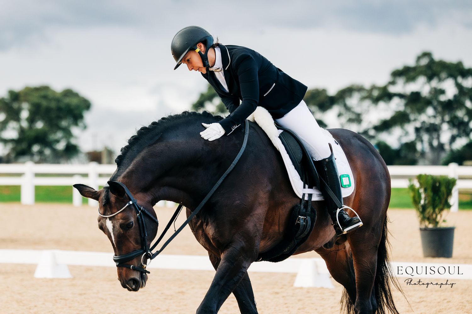 werribee park dressage pat