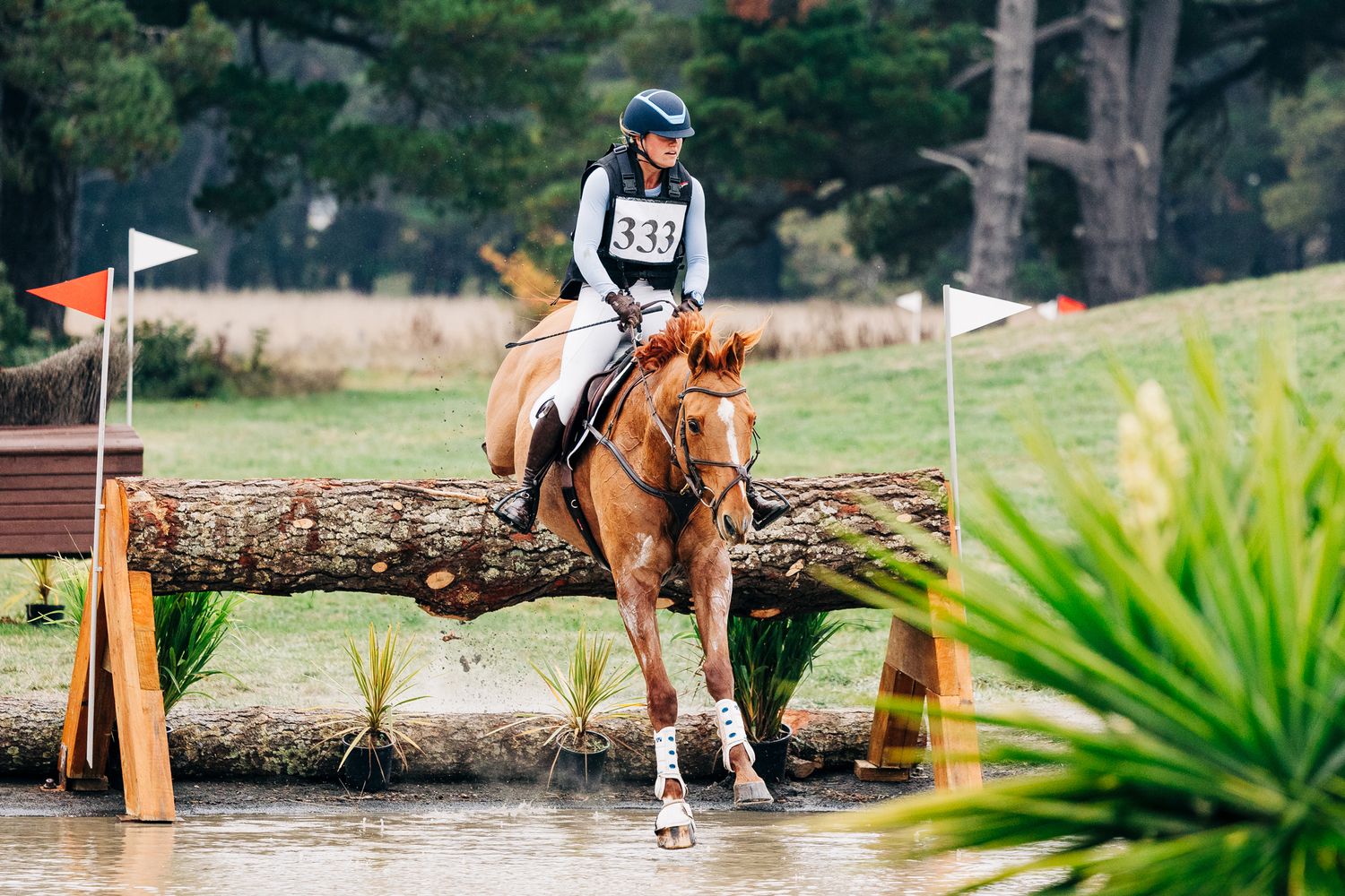 ballarat international horse trials