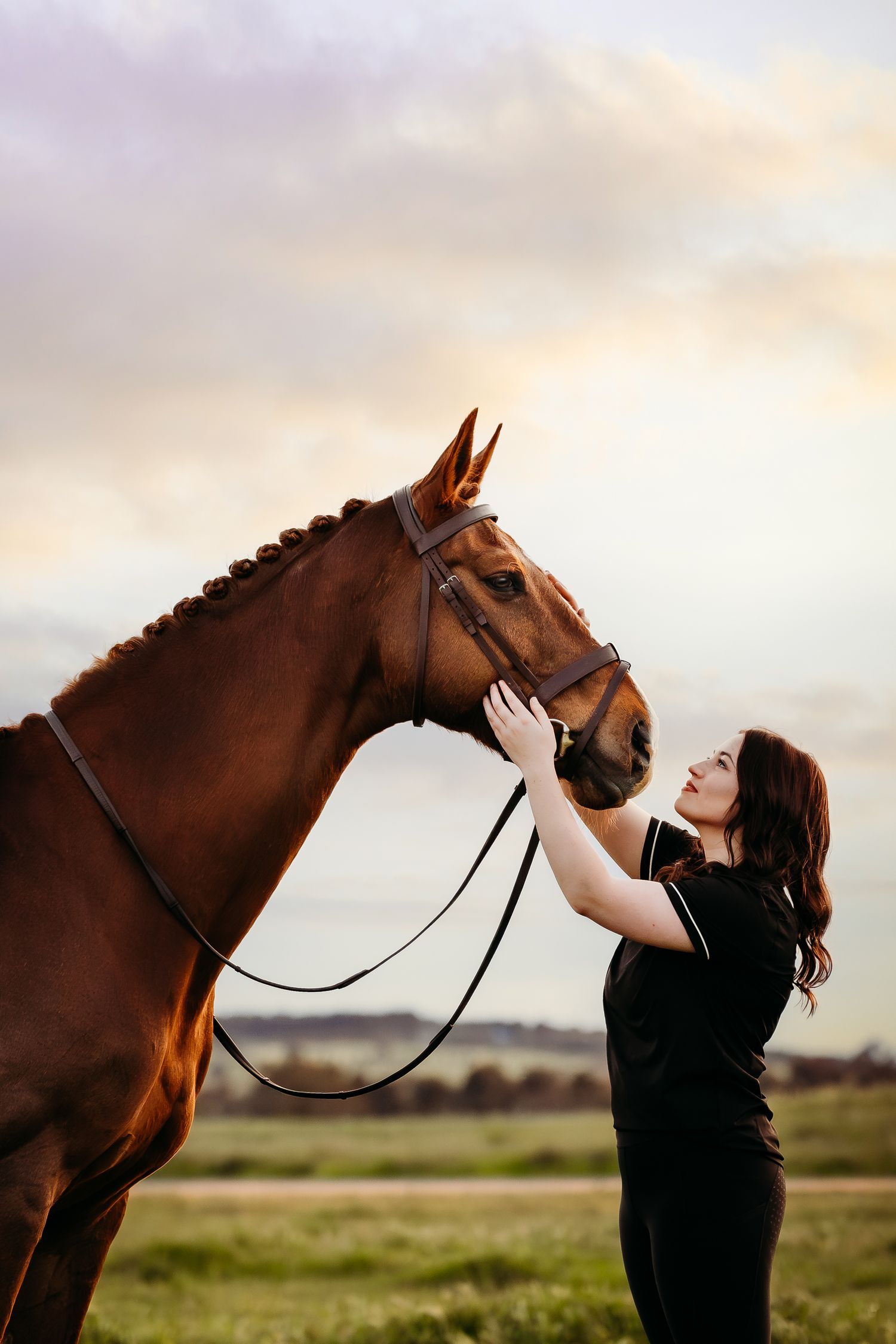 fine art equine portrait victoria australia horse and rider