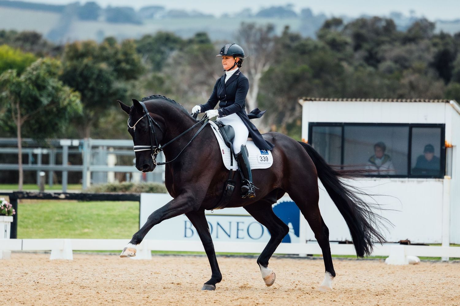 dressage extended trot boneo park