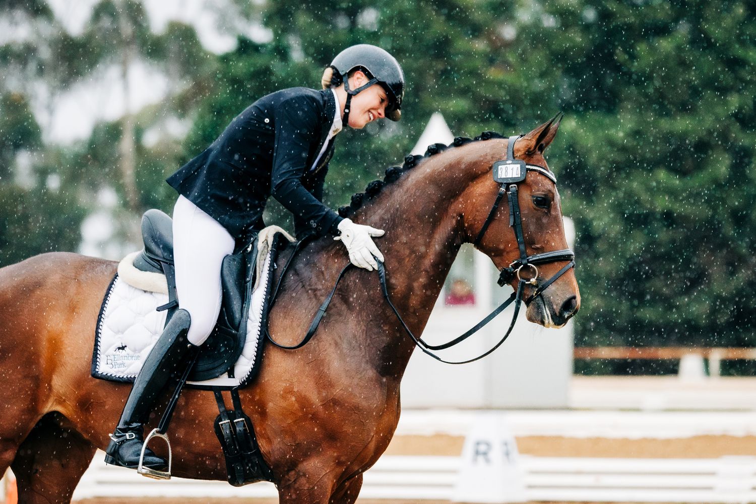 dressage werribee park