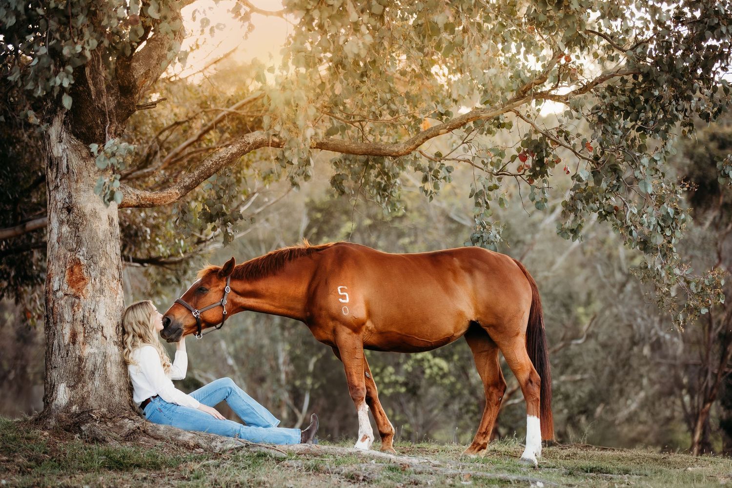 photo of girl and horse resting against a tree during portrait photoshoot at kilmore