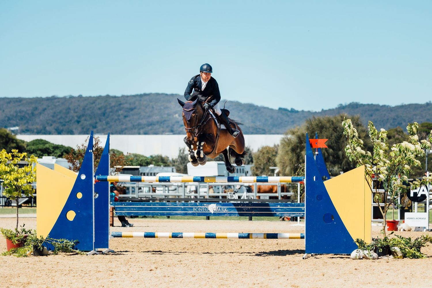showjumping boneo park
