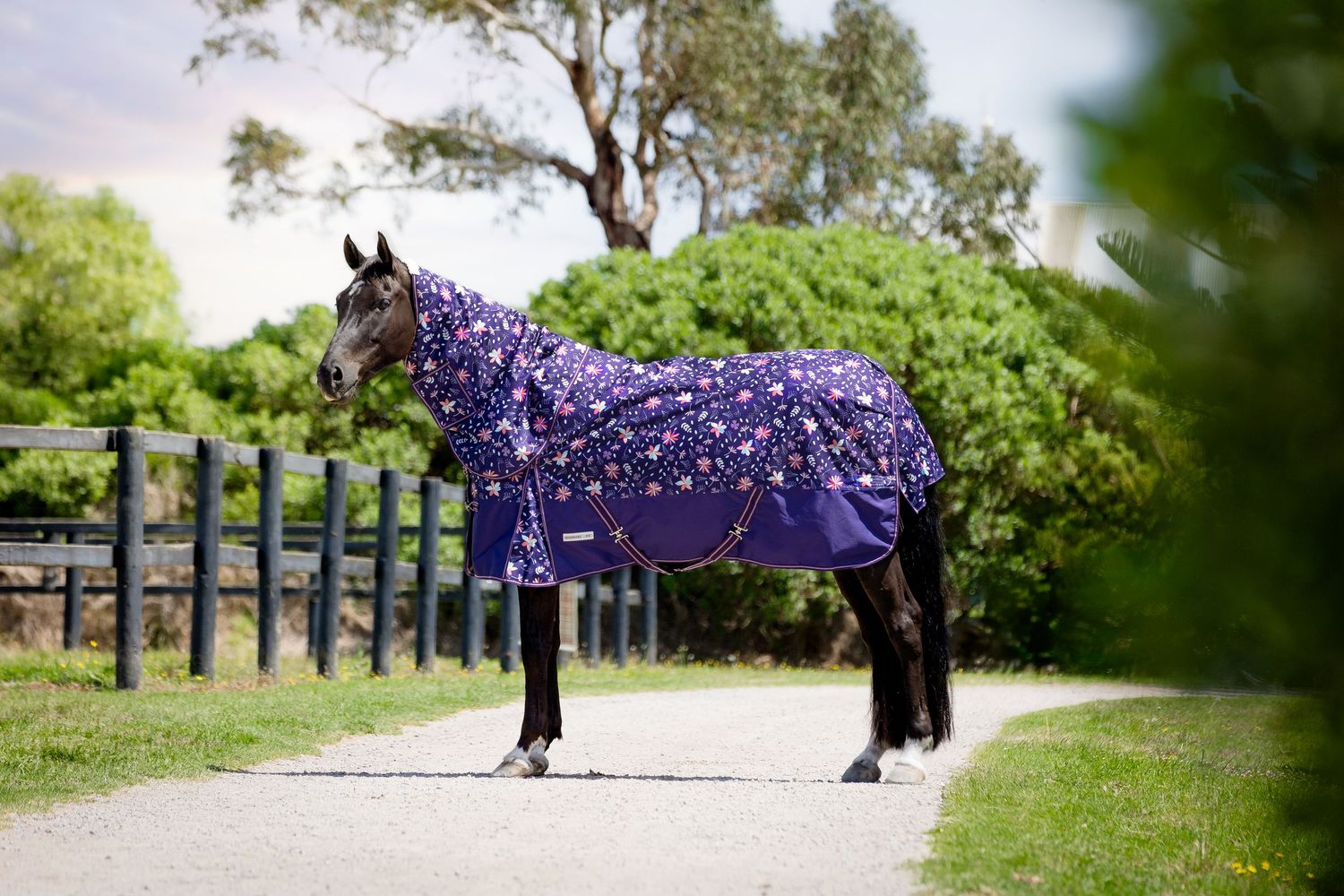 commercial equine photography melbourne australia personal branding product goodwoods rug boneo park