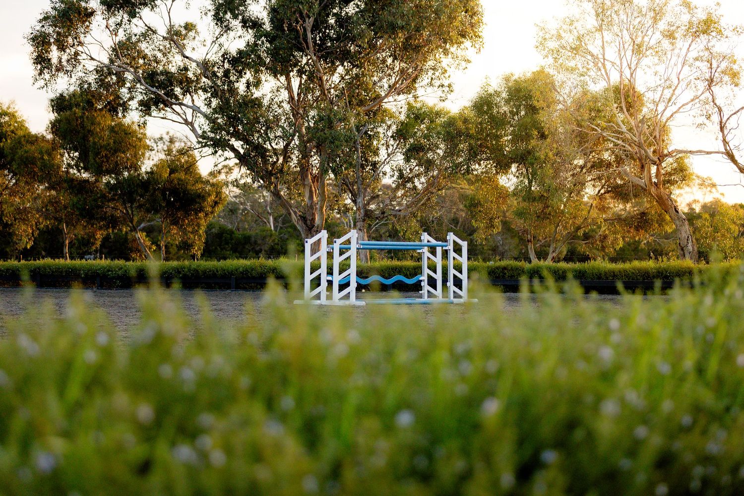 photography commercial equestrian