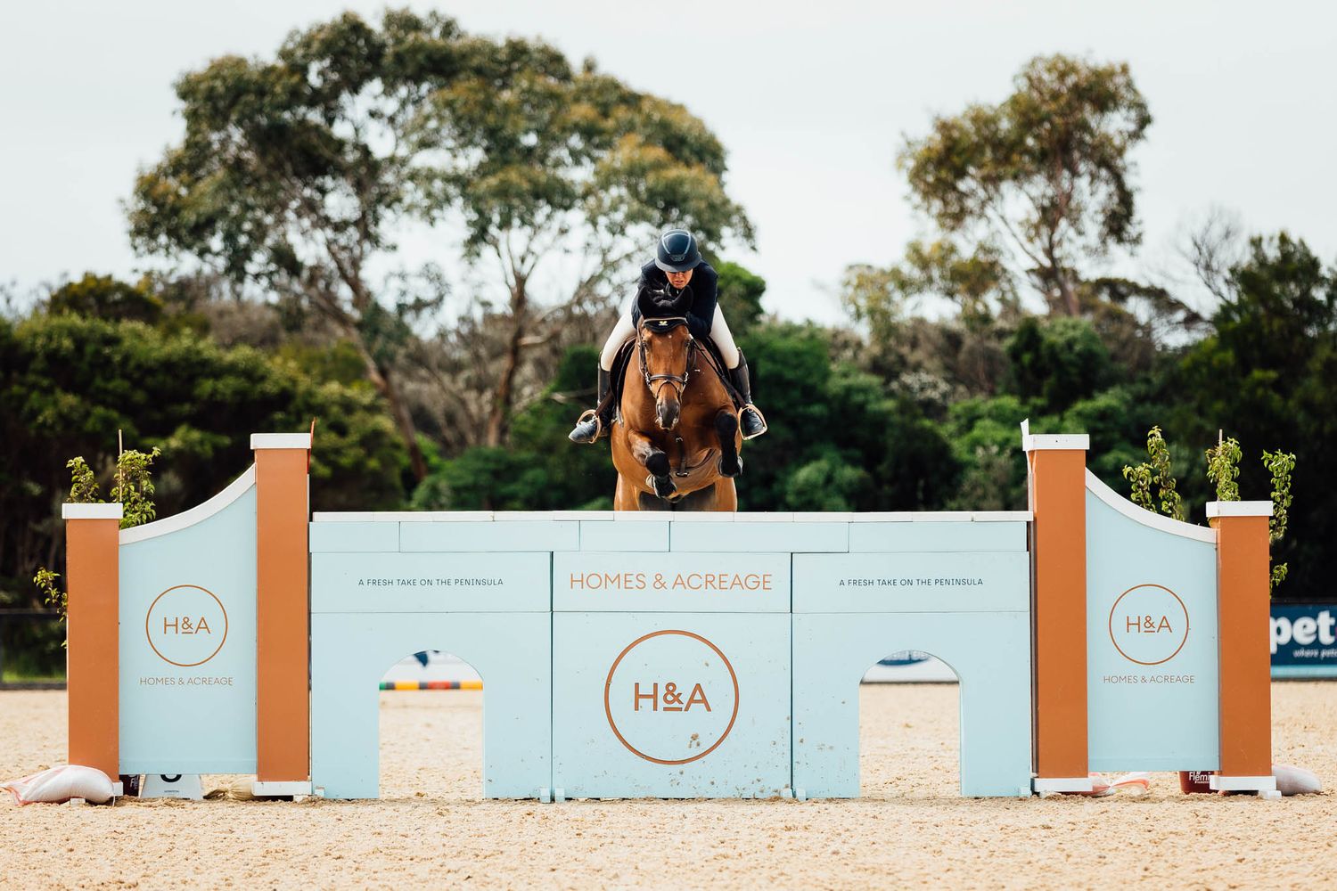 showjumping wall boneo park