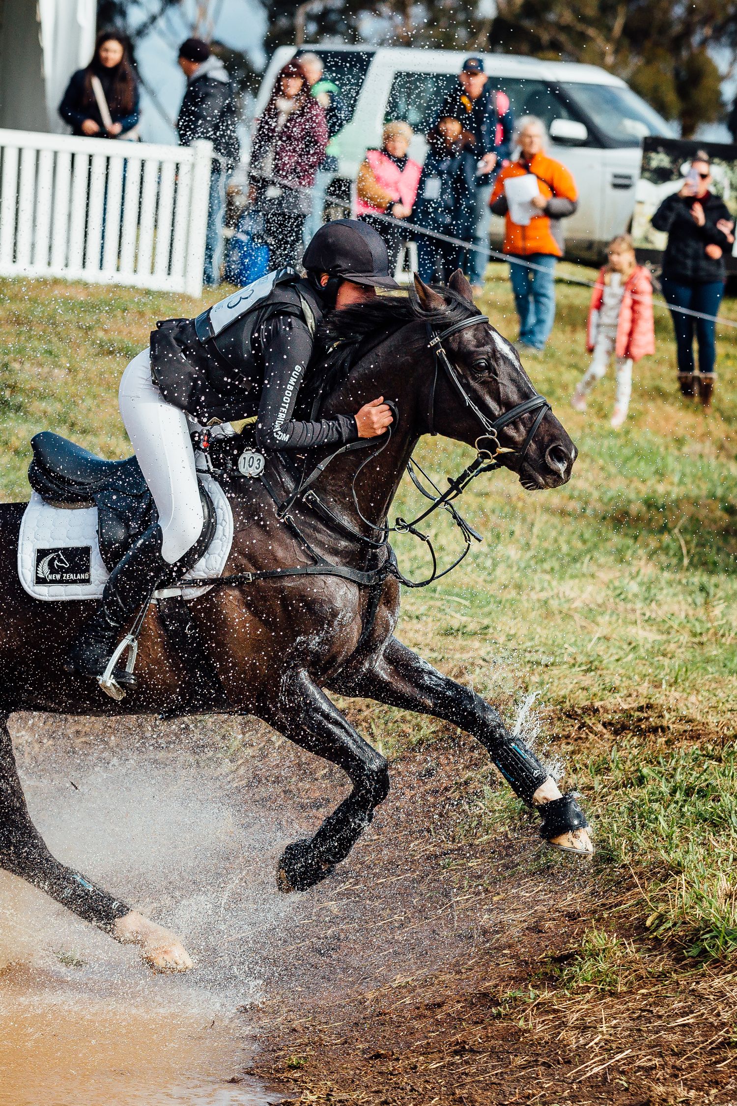 melbourne international three day event cross country water