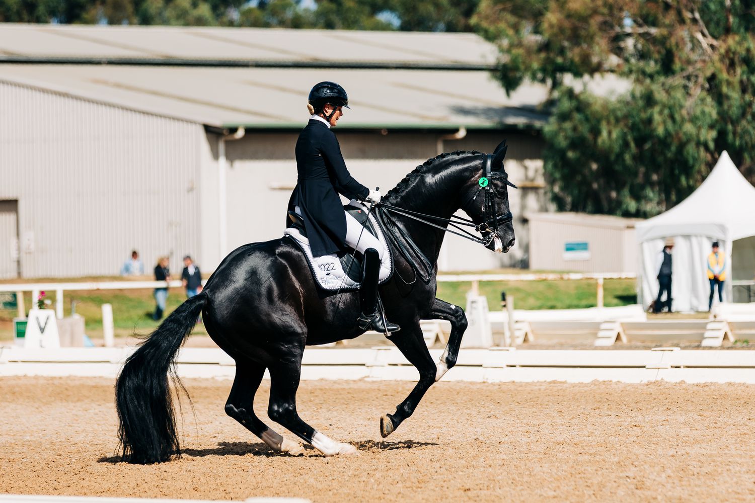canter pirouette werribee park dressage